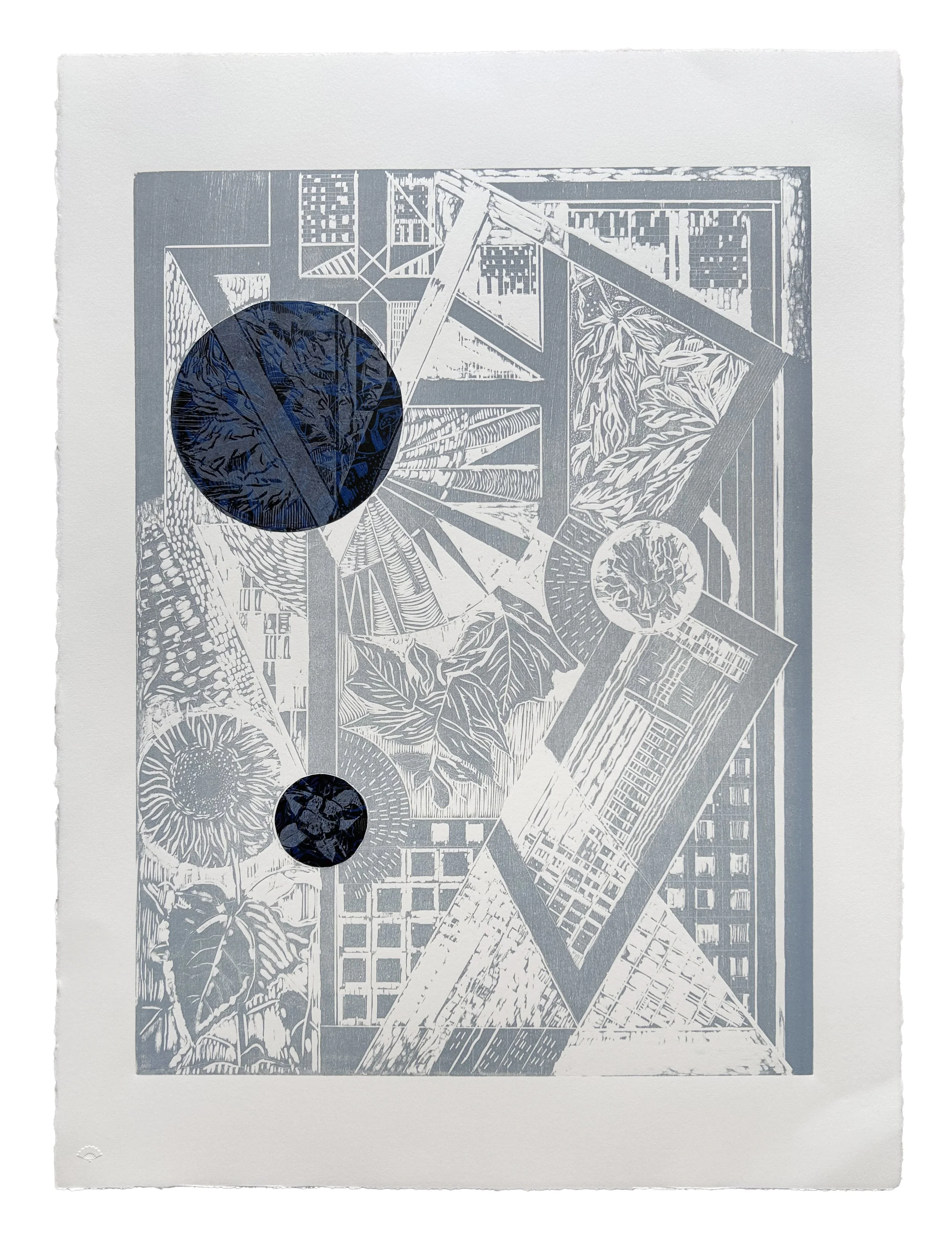 ALTERED REFLECTIONS Woodcut with Hand-Colored Chine-Collé Image: 18 inches x 24 inches Paper: 22 inches x 30 inches Printed by Kathy Caraccio Printmaking Studio ©Carol Morrison 2025 
