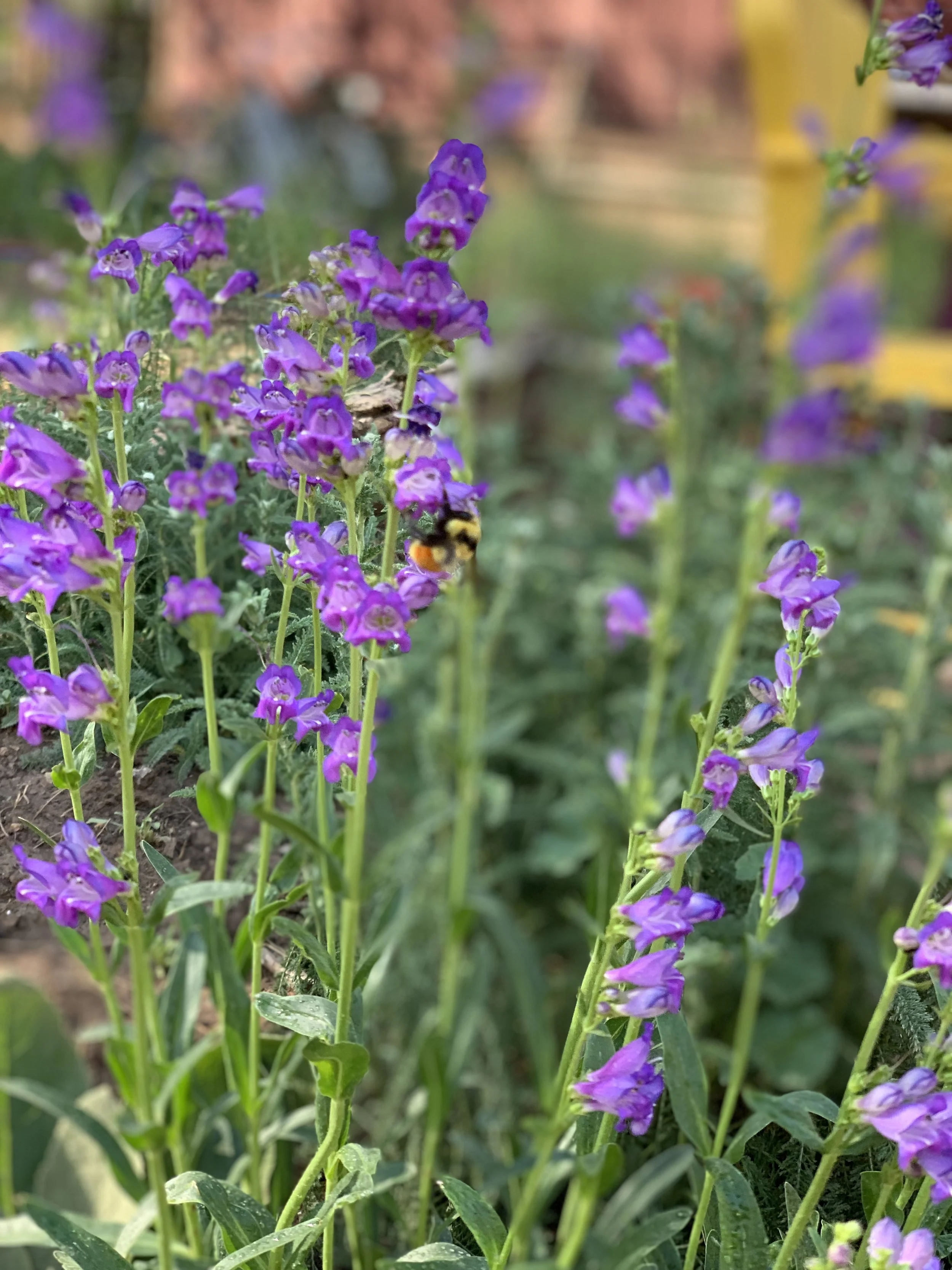 Summer Solstice and the Fire Within