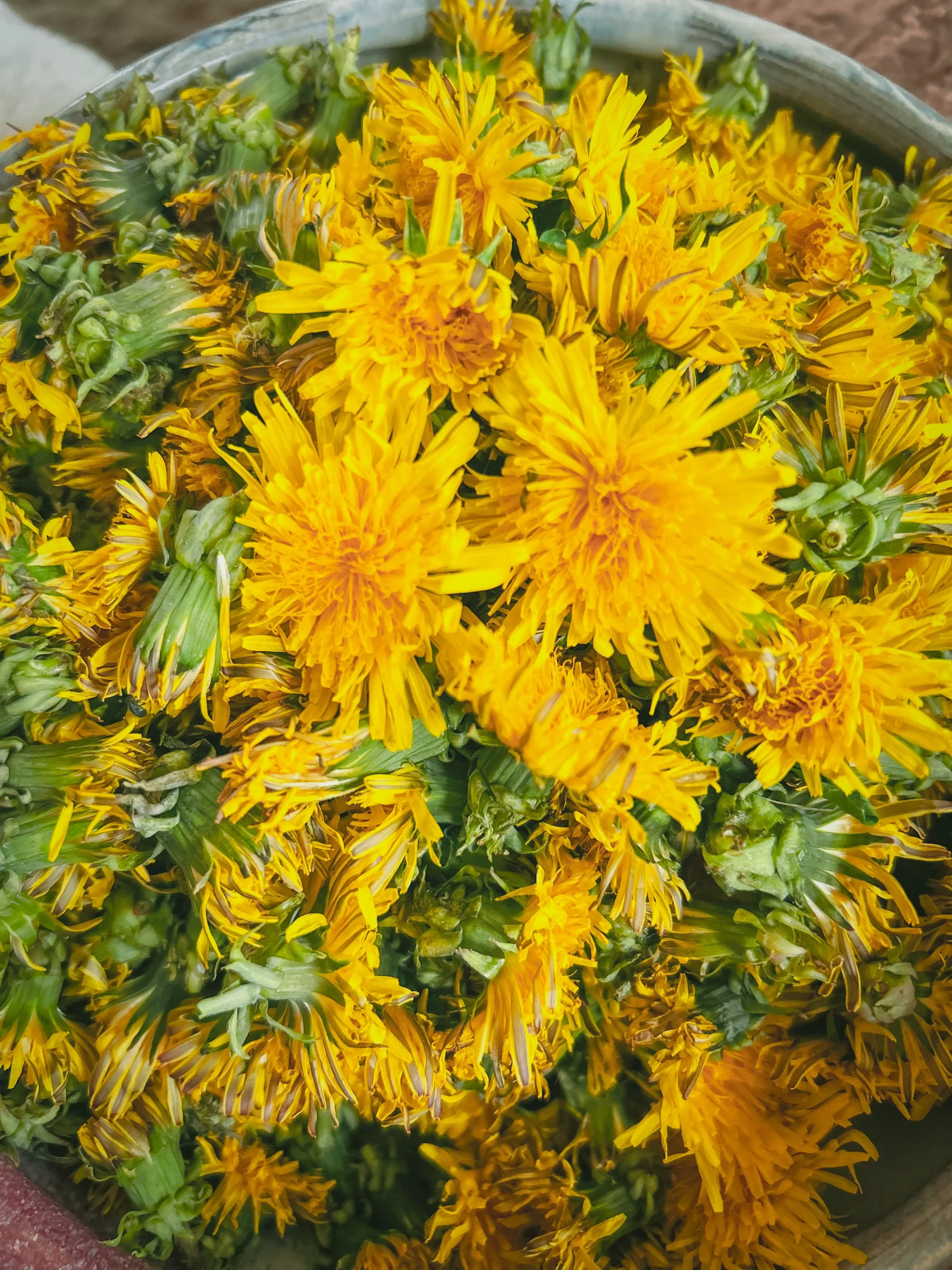 Foraged dandelions 