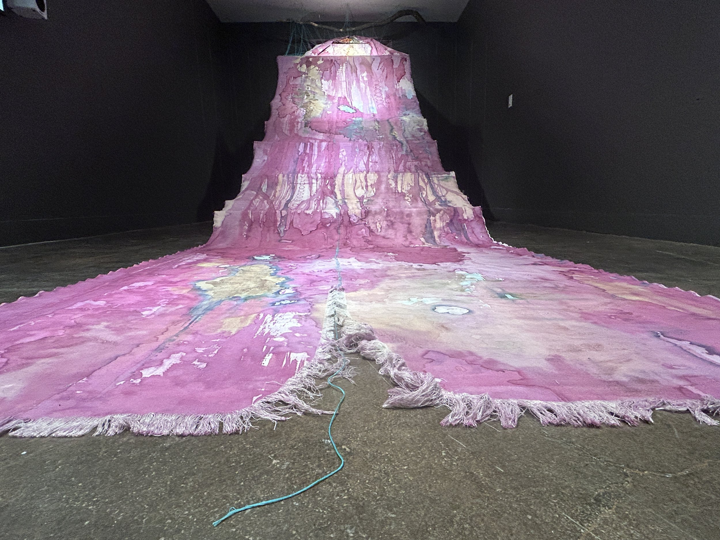 installation at Coconino center for the Arts