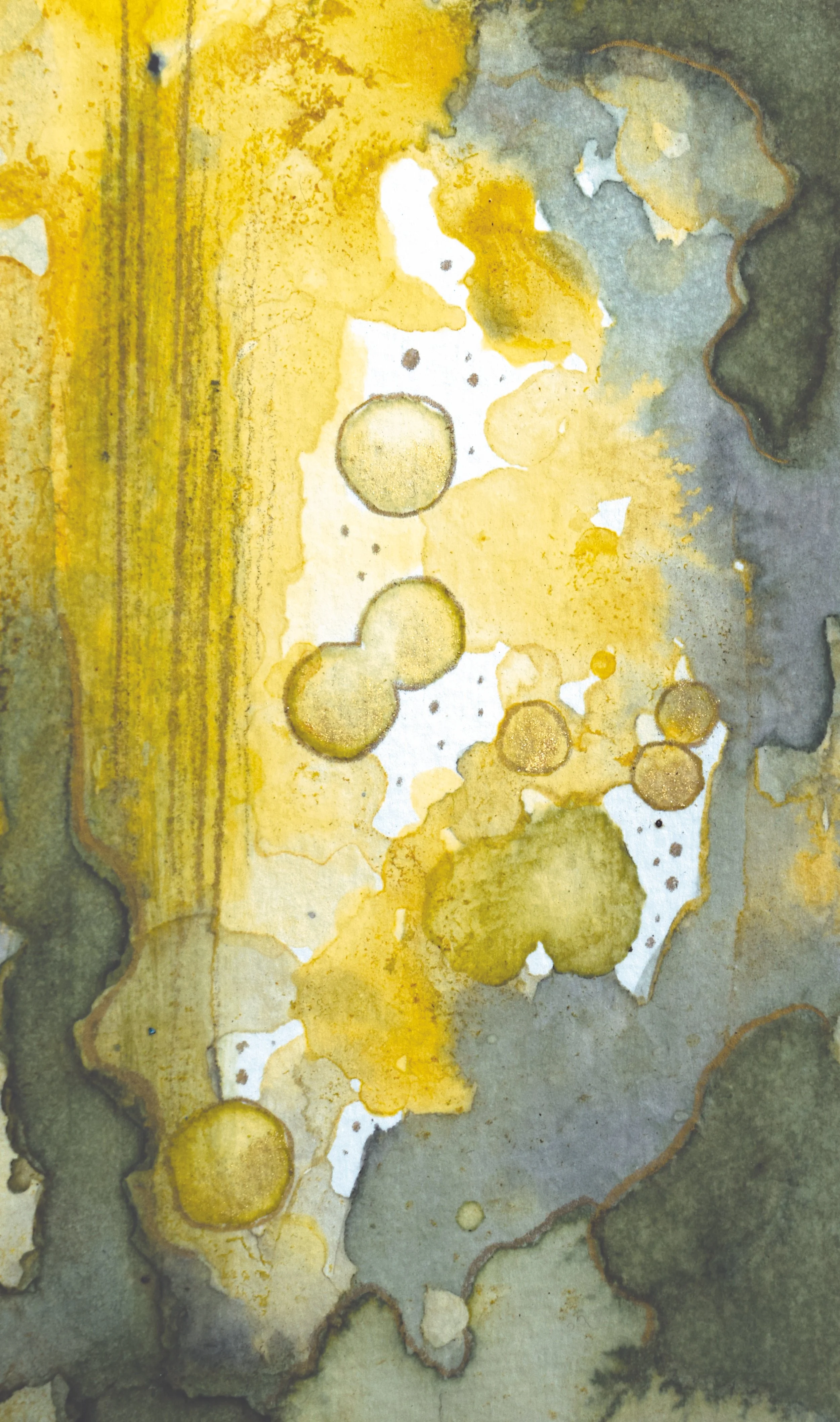 turmeric and grass ink on paper