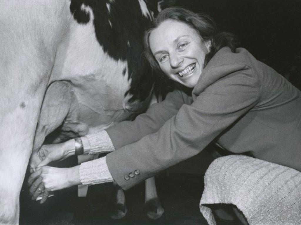 Madeleine Kunin Milking a Cow