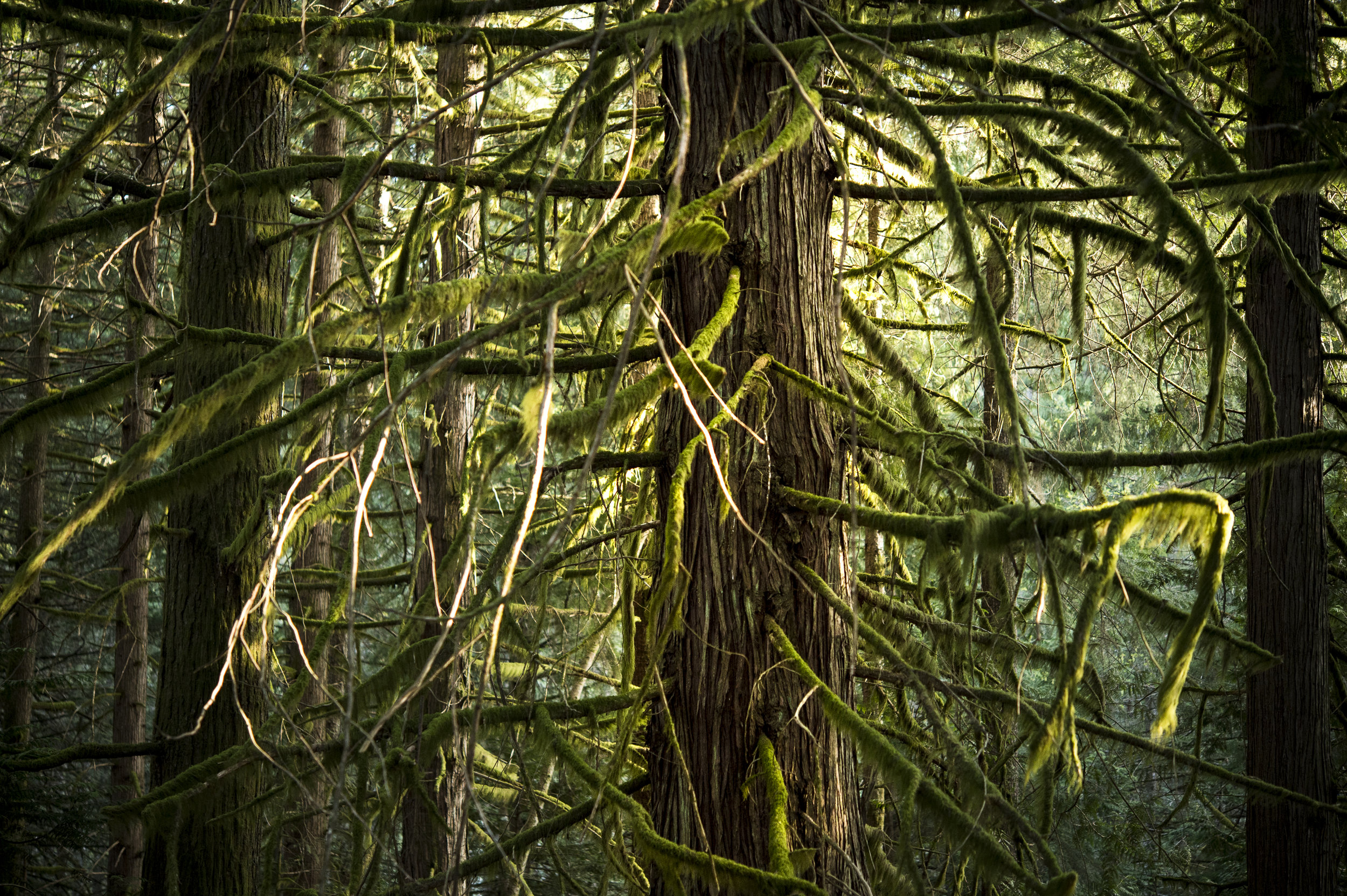 • SUN'S COMING AND GOING