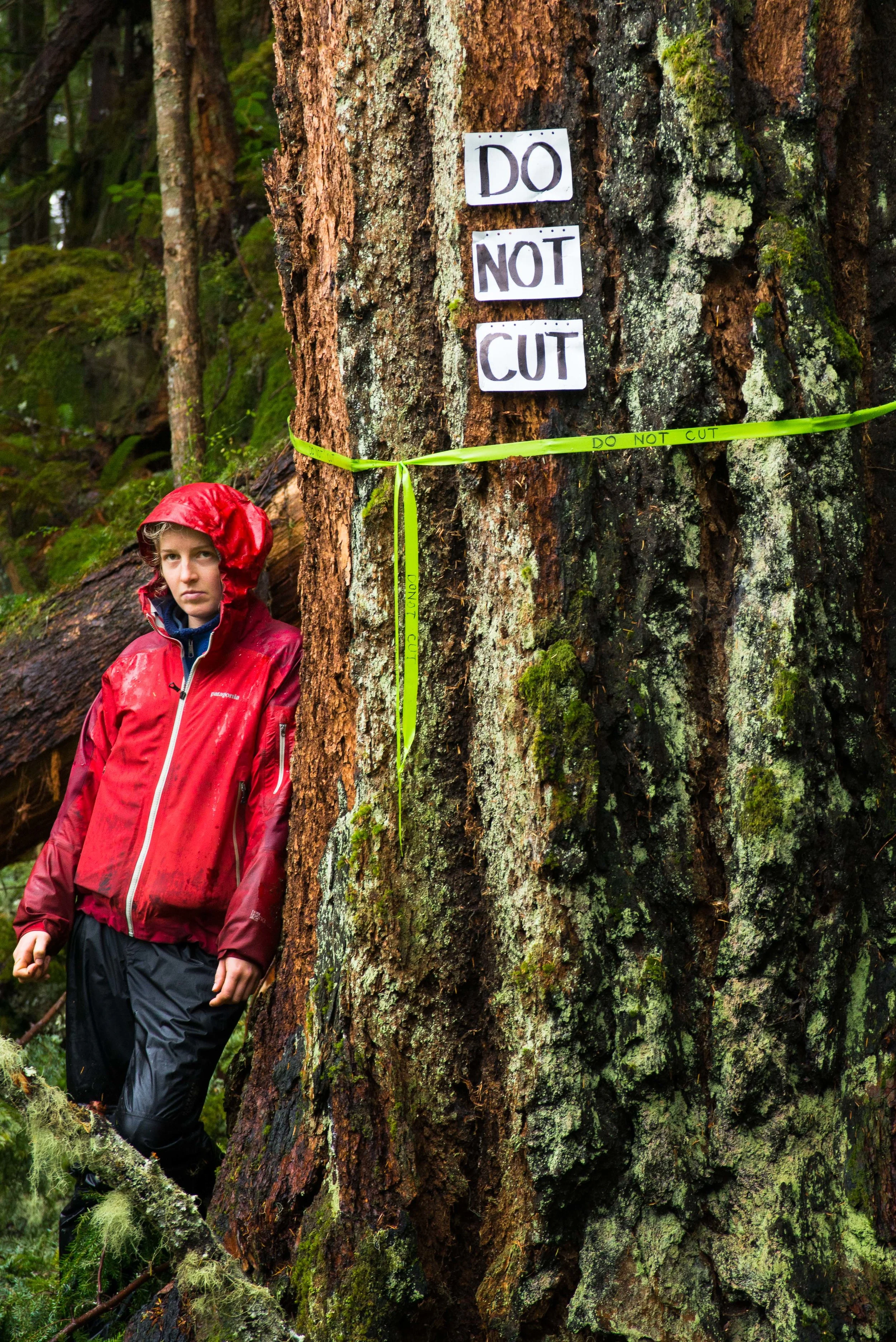 Image: Tavish Campbell