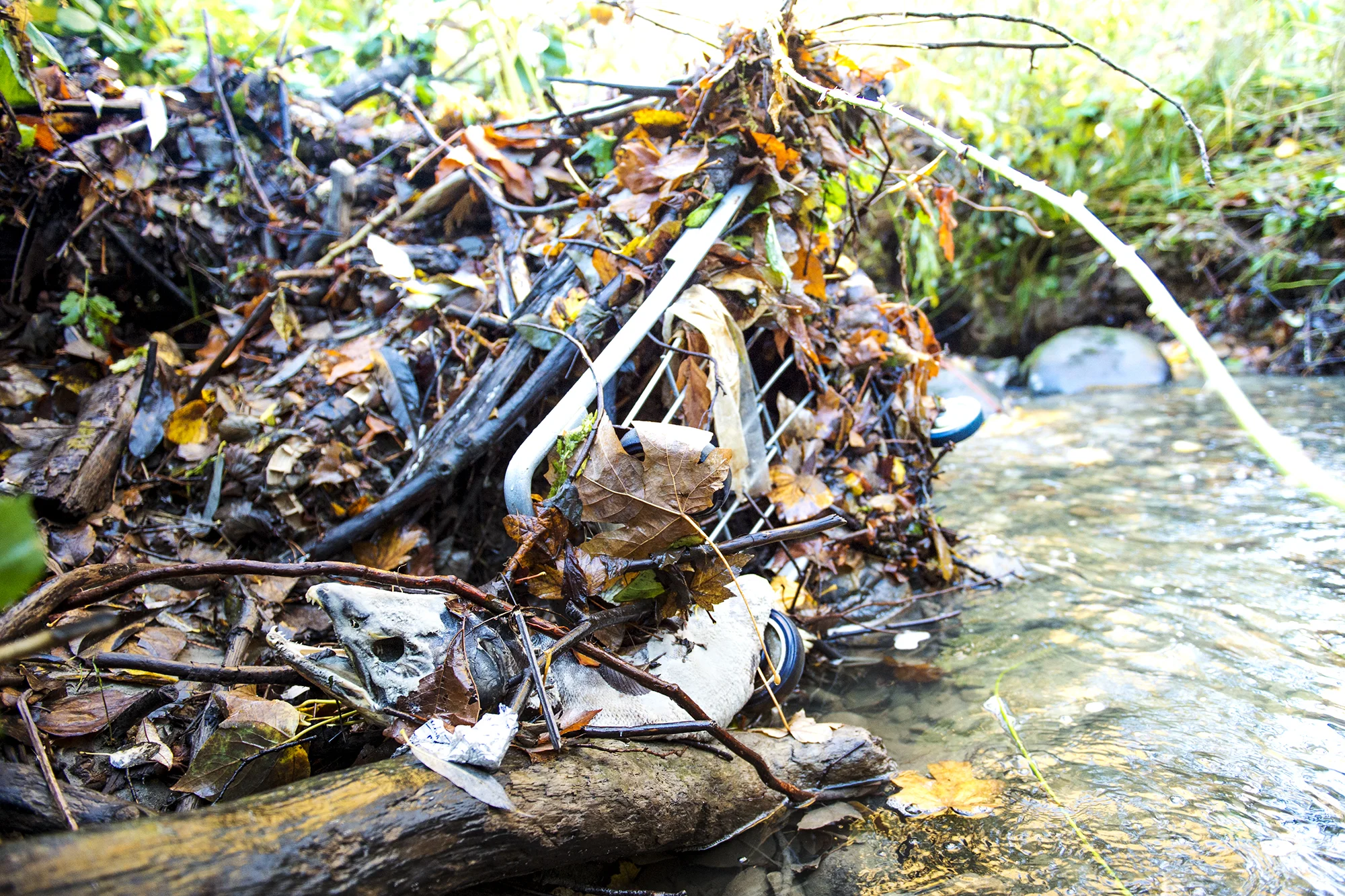 • BOWKER CREEK