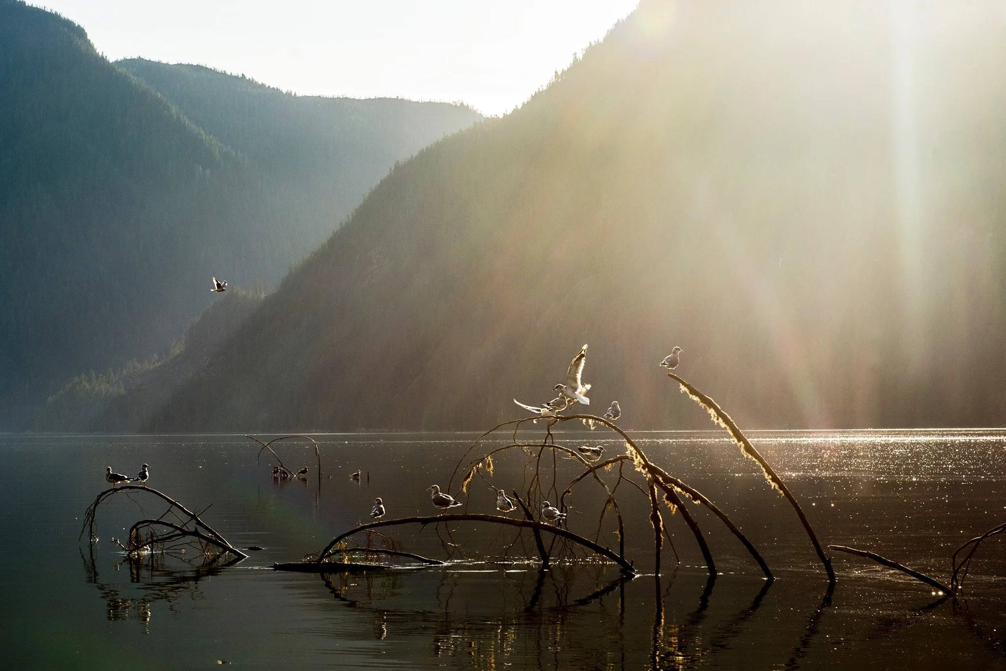 • IF I LOVED MY BODY LIKE A RIVER