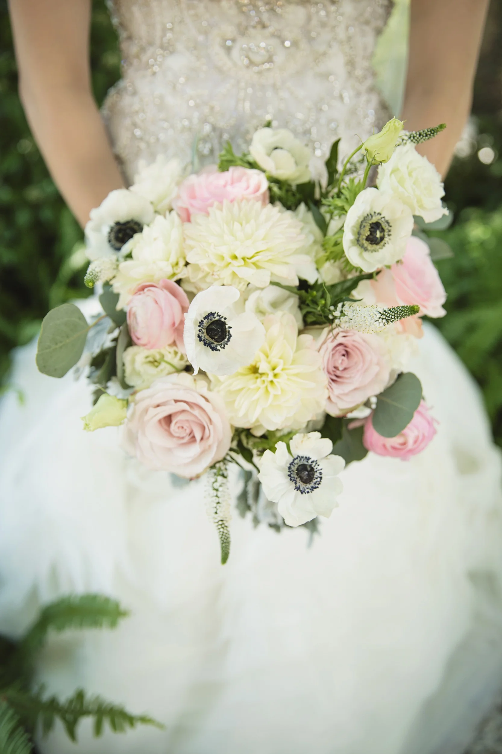 Alisa Sue Photography