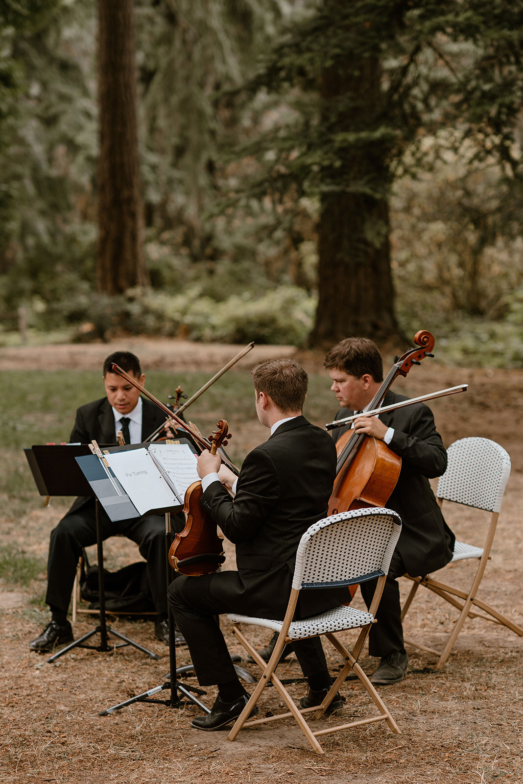 BRIANNAANDCALVIN-oregonwedding-forestpark-sneakpeeks-madelinerosephotographyco-54.jpg