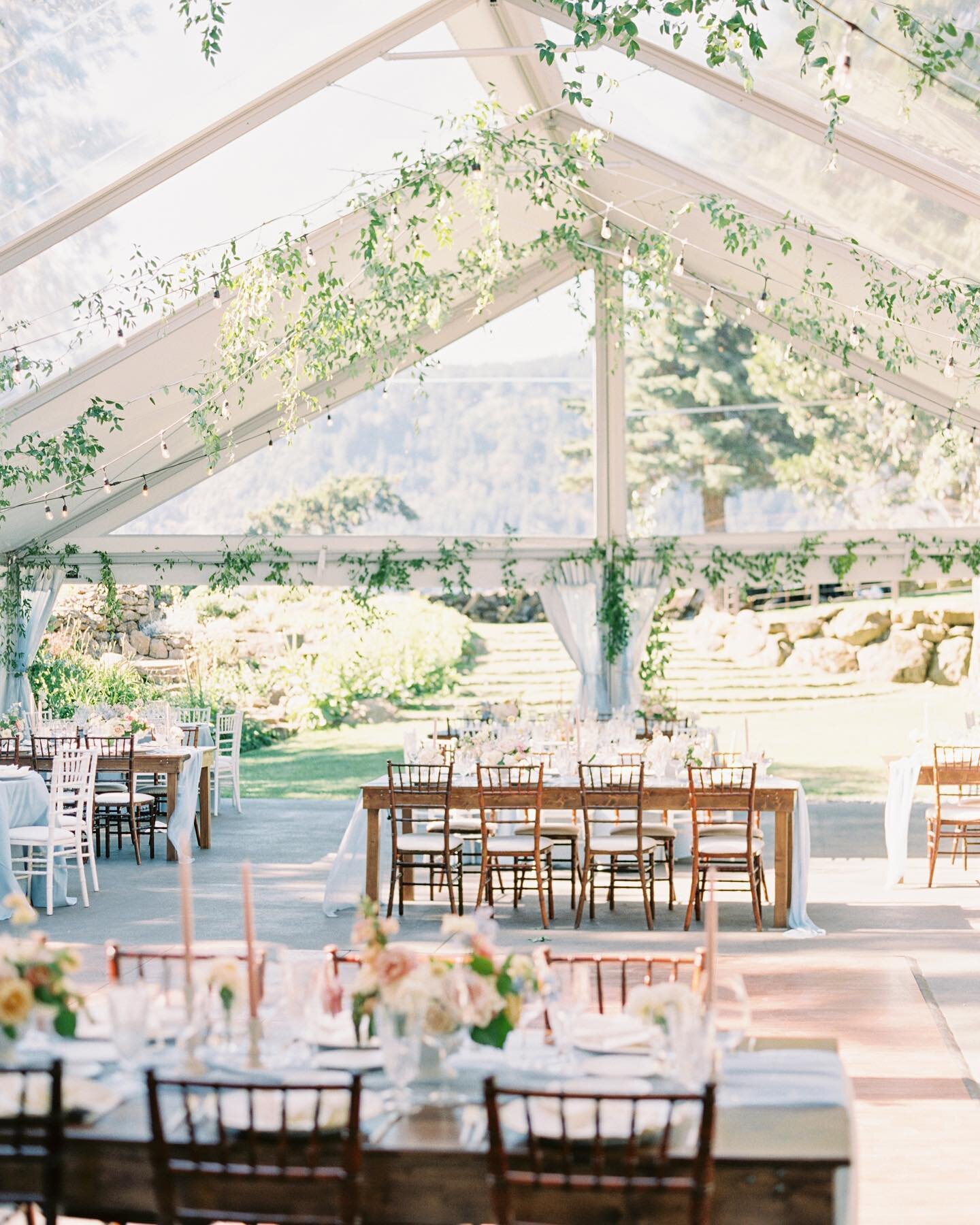 Photo Sneak Peak days are my favorite days! 🤗🥰 and I&rsquo;m SCREAMING!!! @sweetlifephoto.anna &amp; @sweetlifephoto.jake KILLED IT!!! Annie and Eric&rsquo;s wedding was a dream to plan and design and the sneak peaks I just got have me on cloud nin