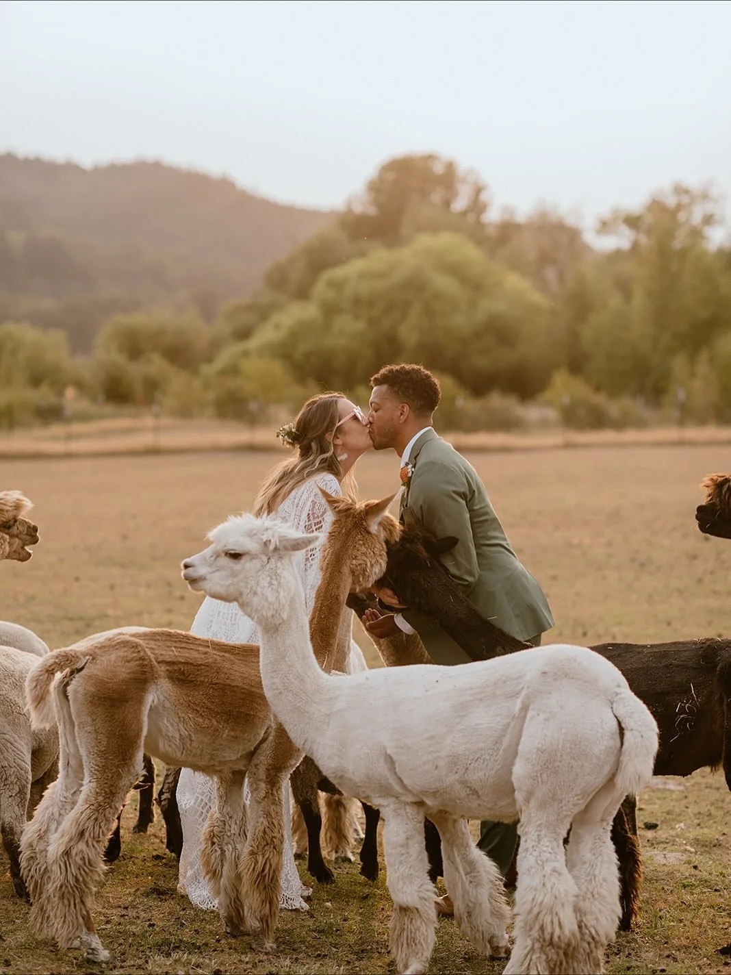 At the end of the day, it all comes down to this &mdash; two people, one perfect &ldquo;yes,&rdquo; and a love that feels effortless and real. 💍💕
Whether it&rsquo;s a grand celebration or a tiny gathering under the stars, love is always the main ch