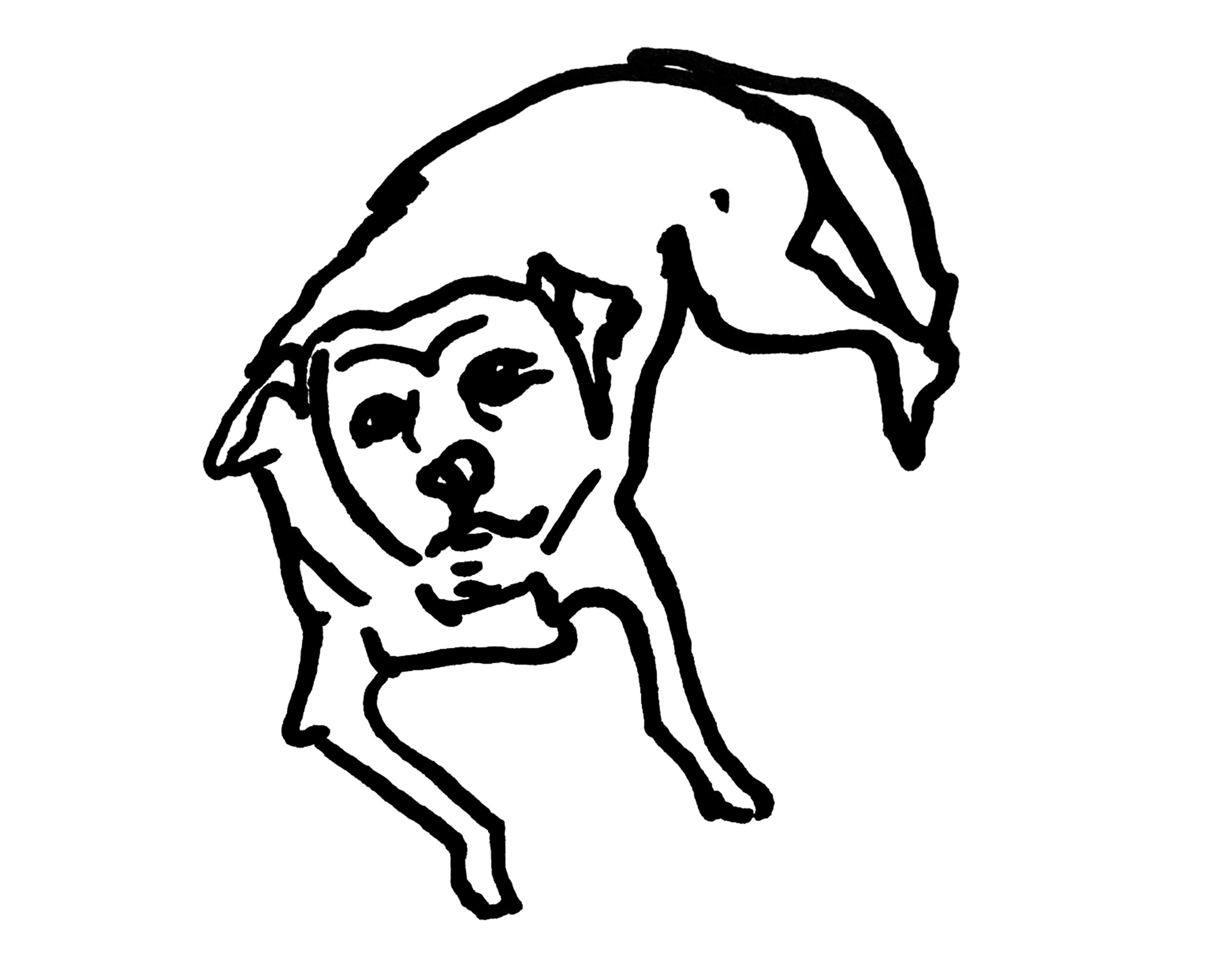 Ginny2.jpg