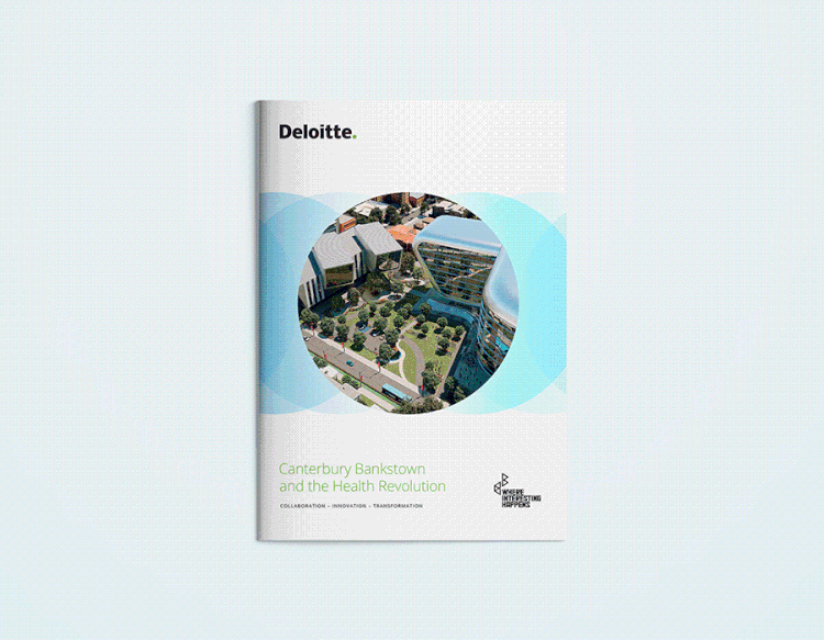 Deloitte Animation General 5