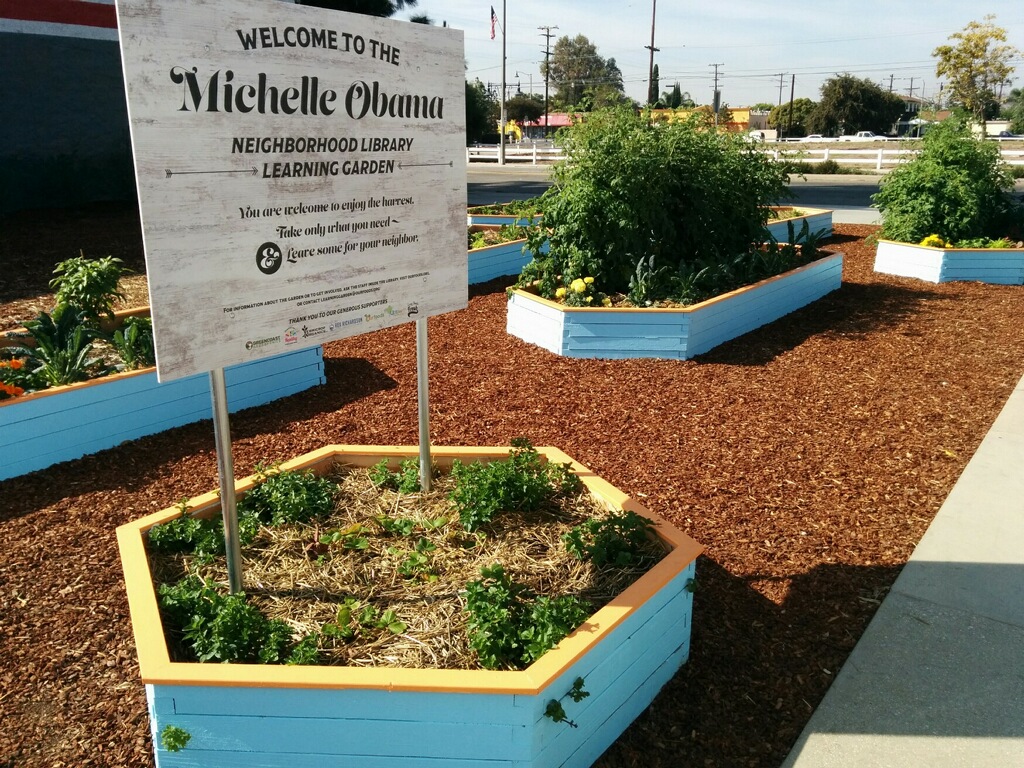 SchoolGreenhouse.jpg