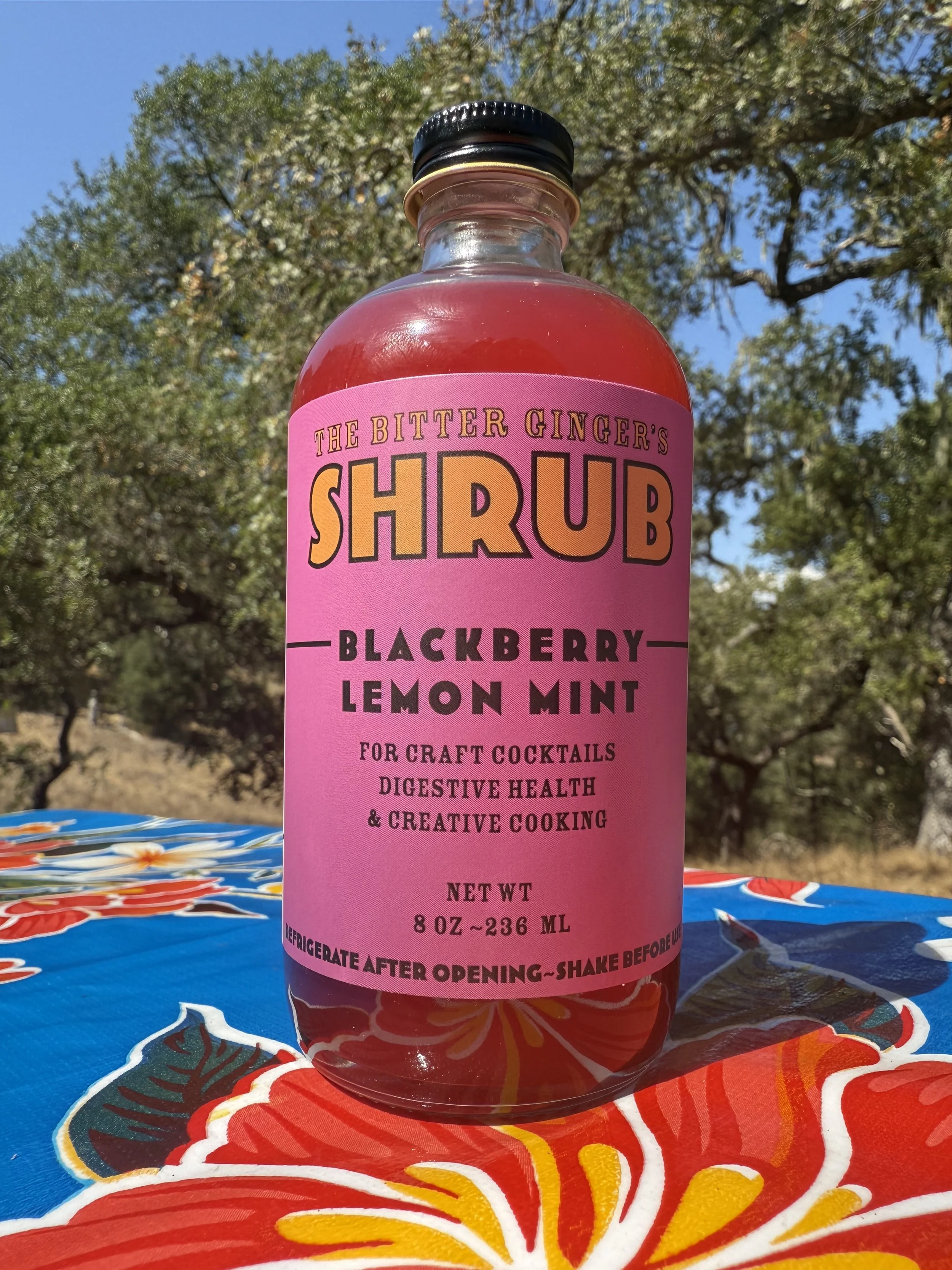 BitterGinger-Shrub-BlackberryLemonMint-DrinkMoreShrub-OutInTheWild.jpg
