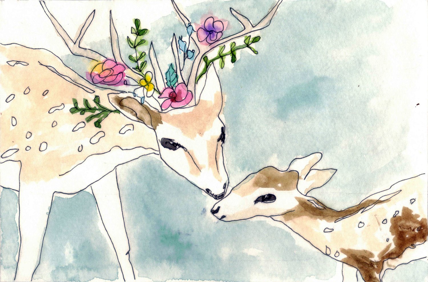 deer+scan.jpg
