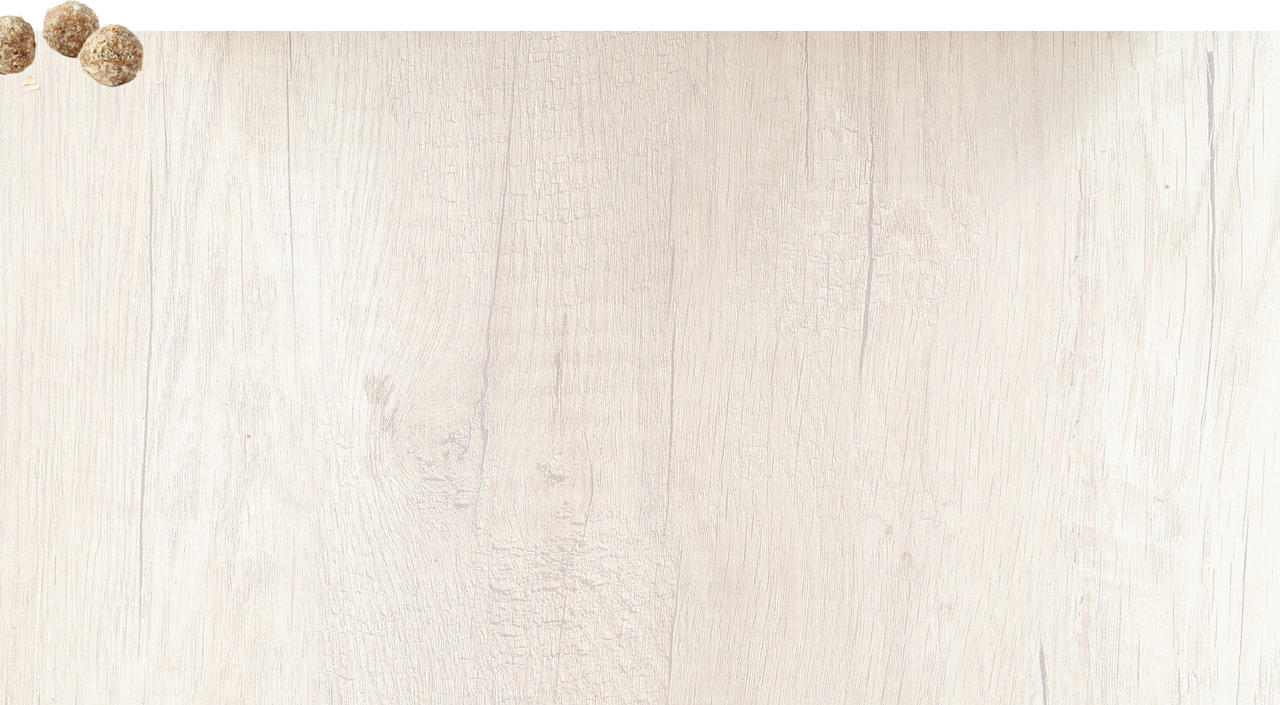 wood-and-energy-balls.png