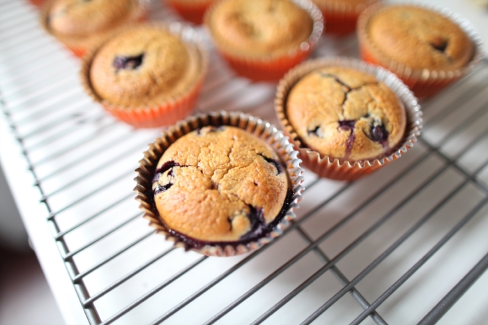 Blueberry Muffins.jpg