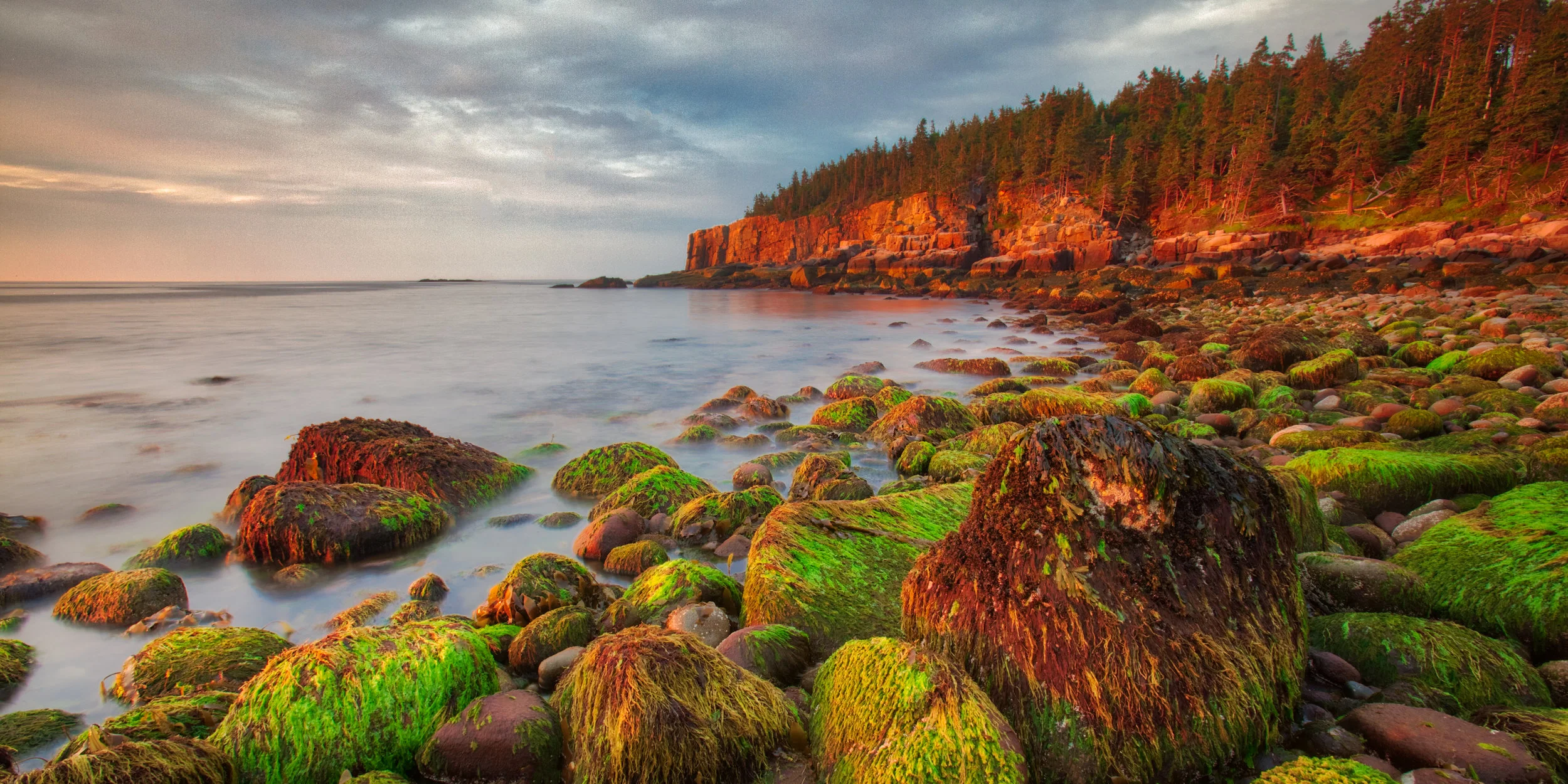 Maine0775.jpg