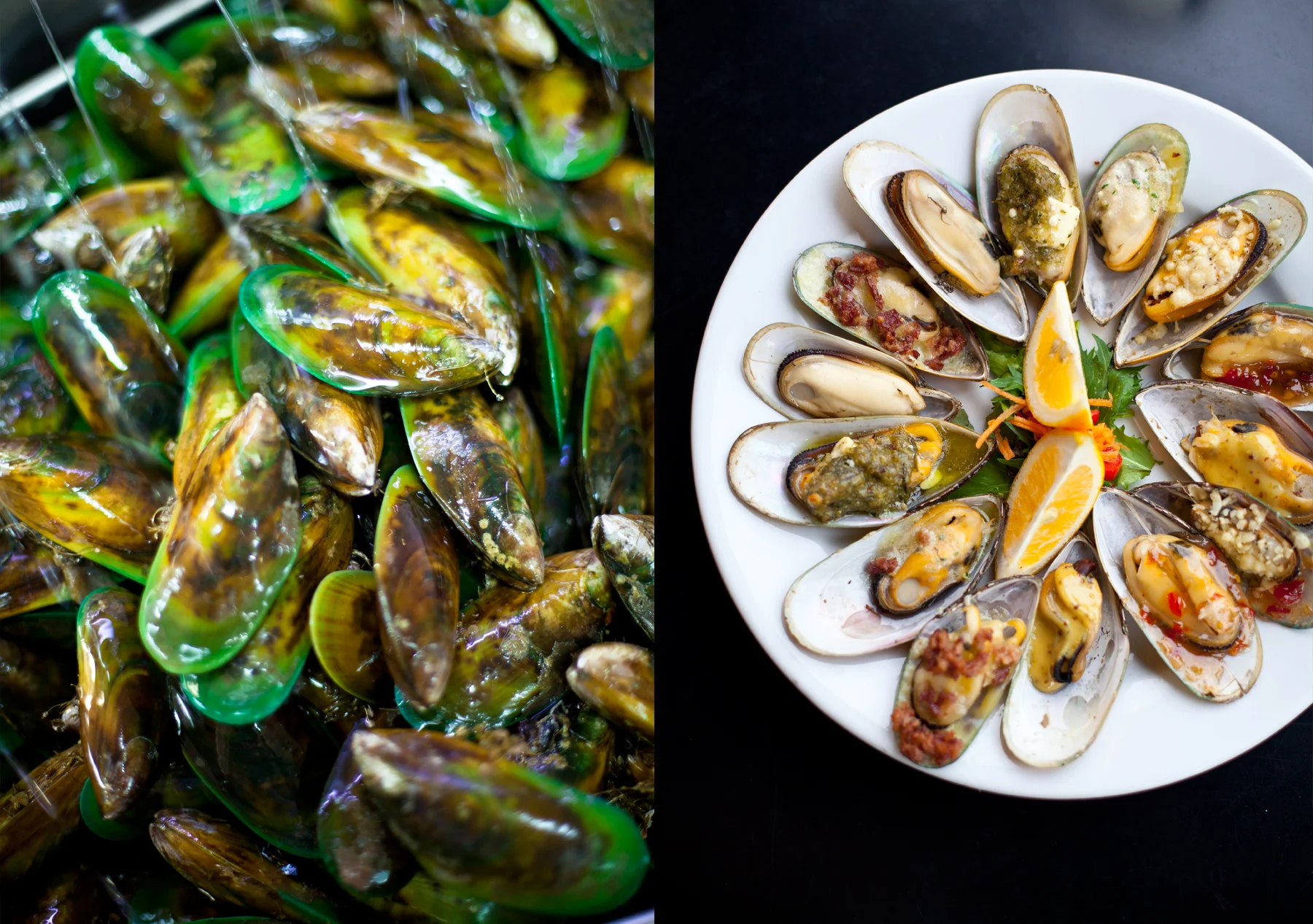 Mussels.jpg