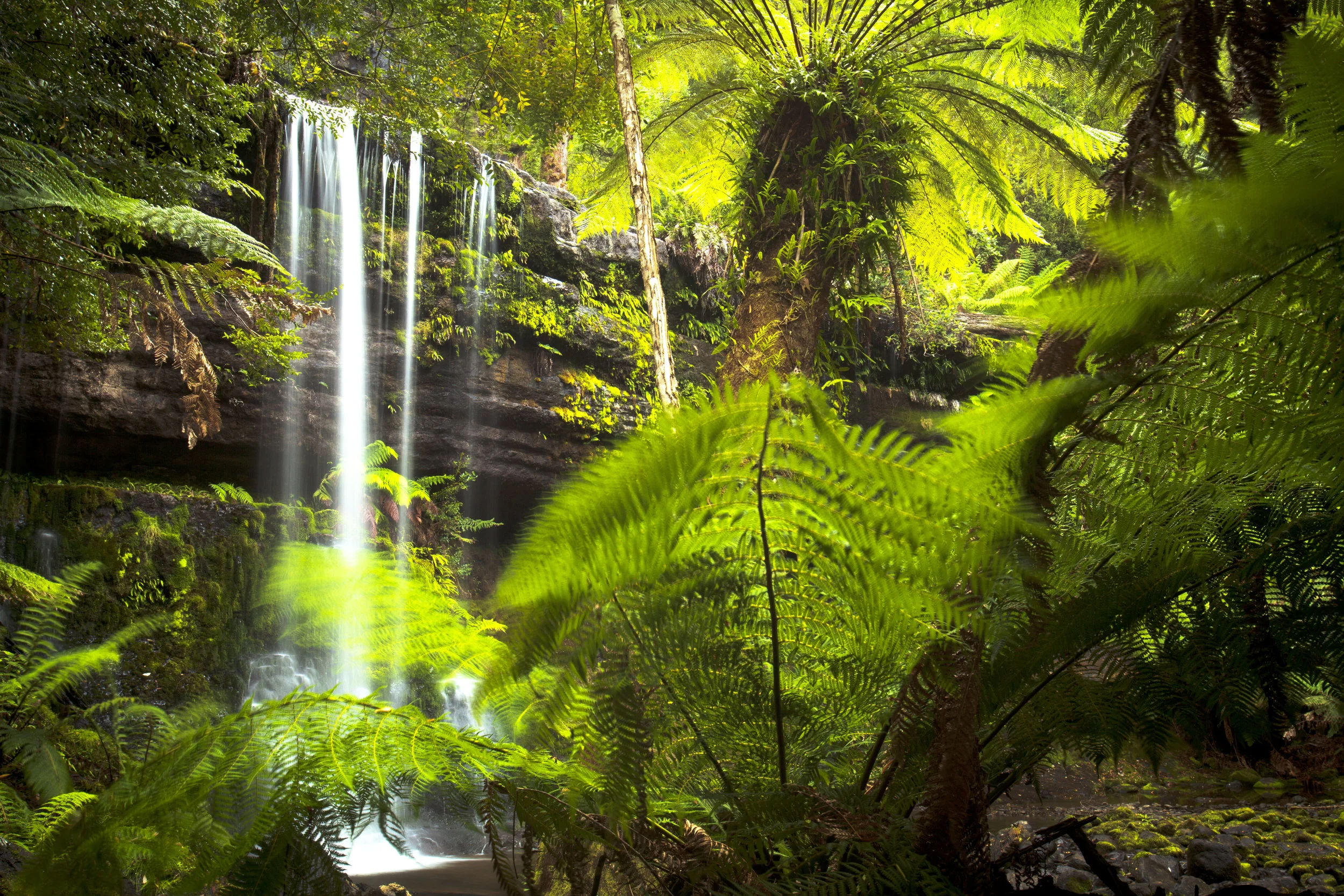 Mt_Field_National_Park075.jpg