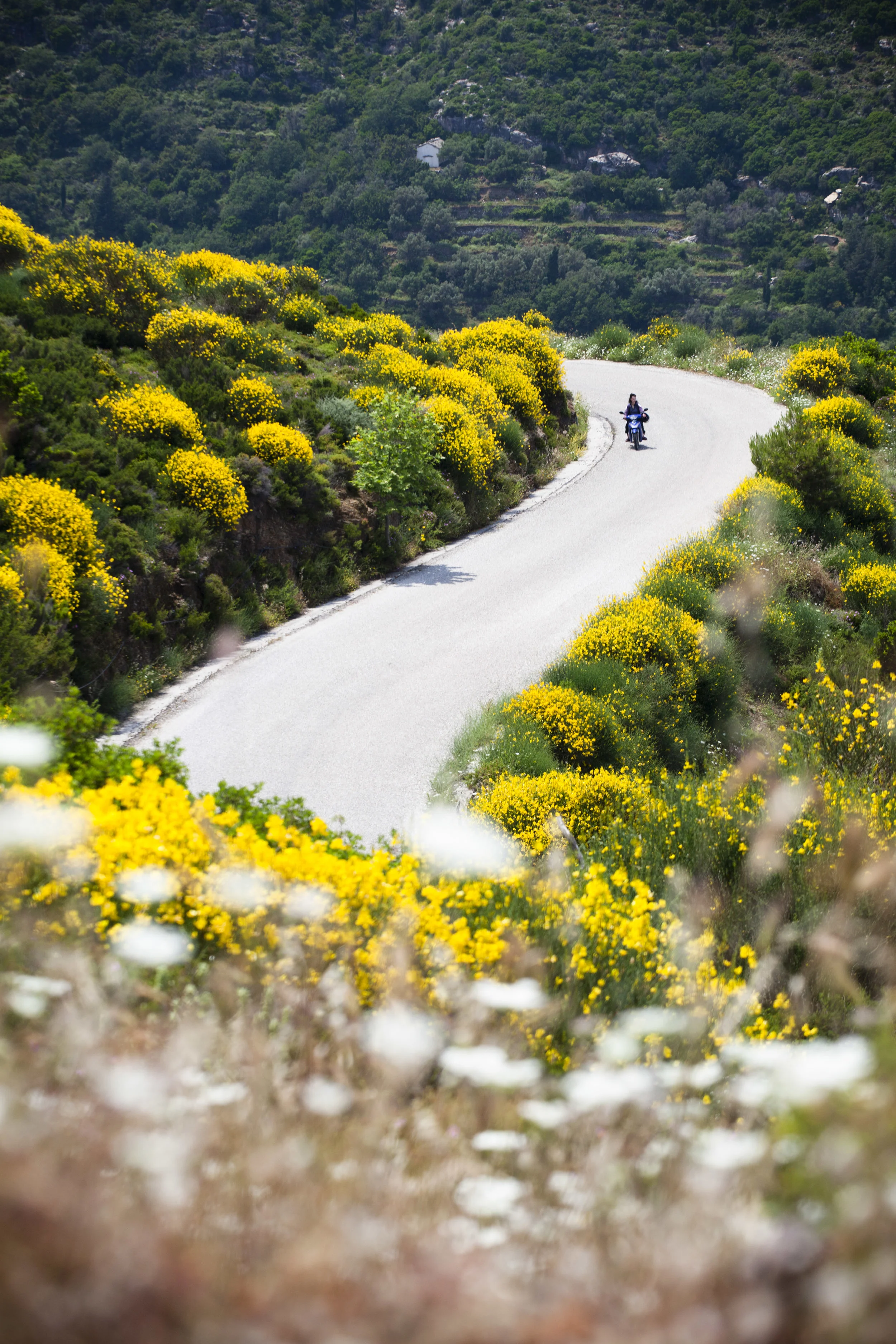 Ikaria0390.jpg