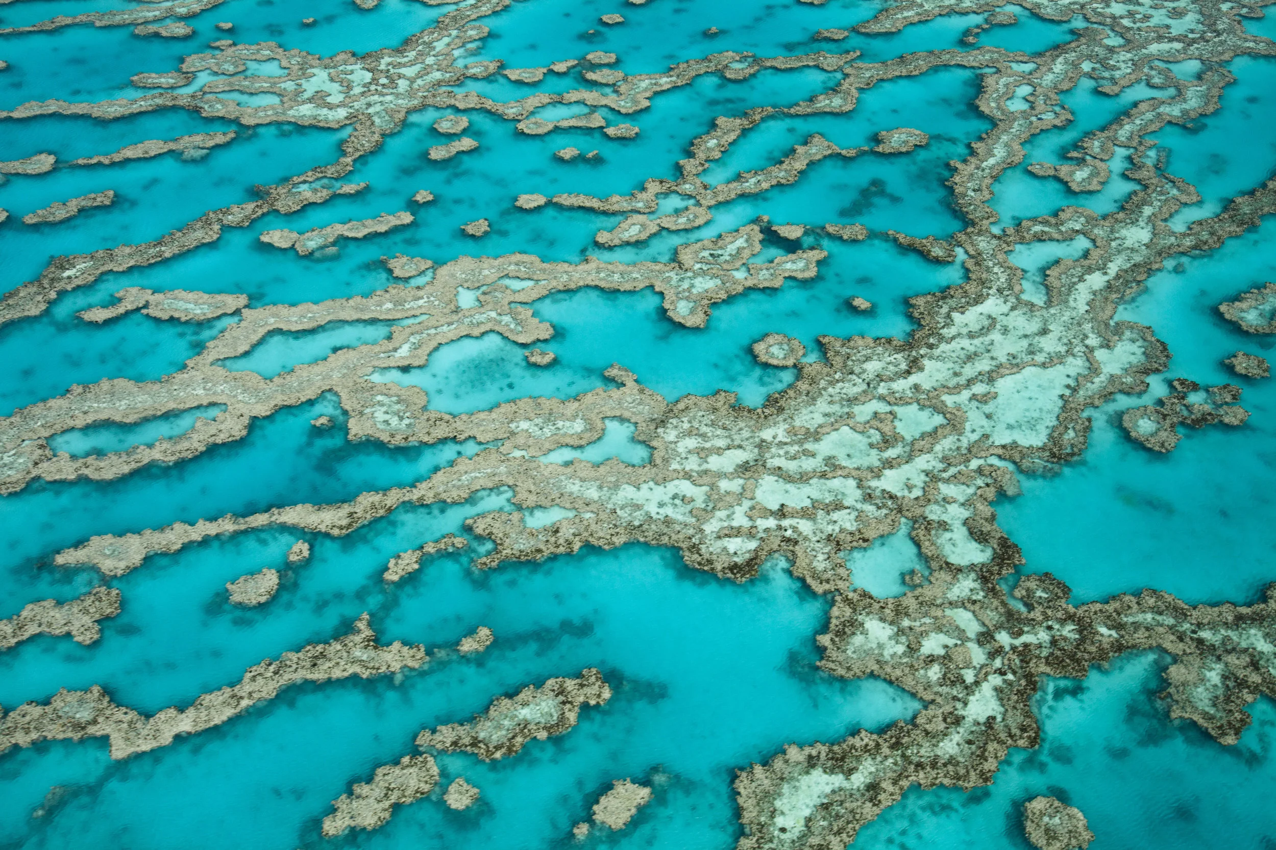 Great_Barrier_Reef0156.jpg