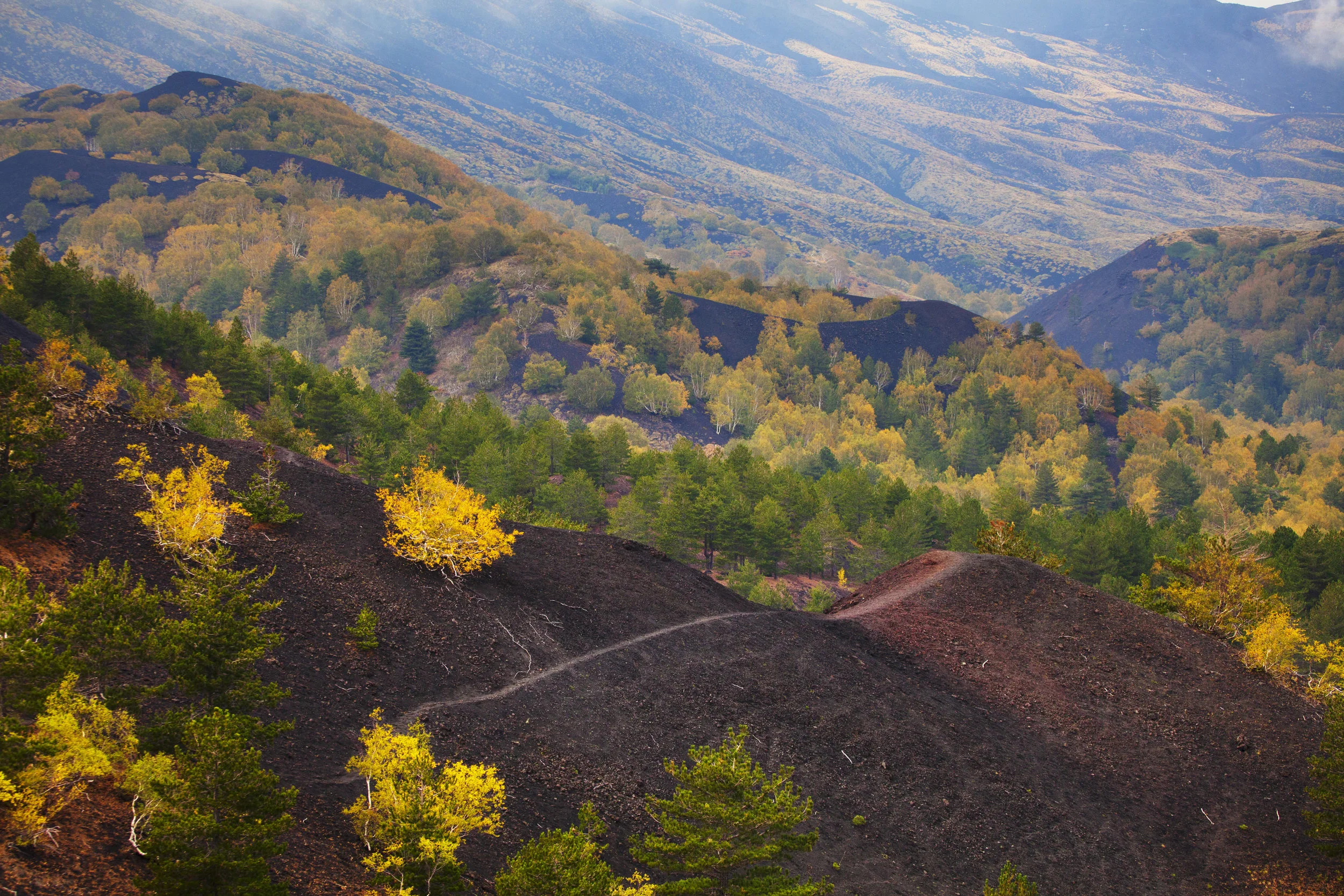 Etna273.jpg