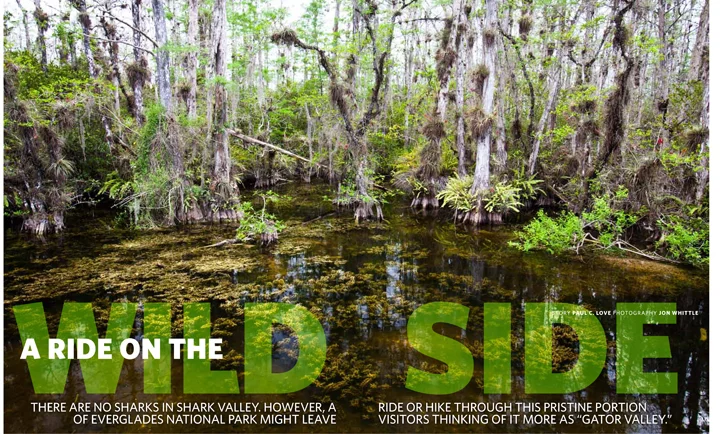 FTL0213_everglades-1.jpg