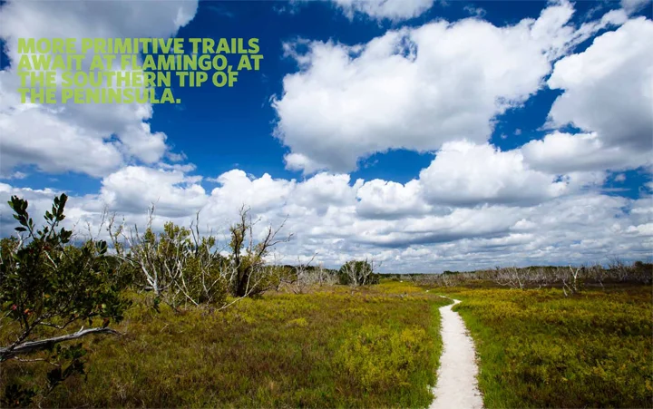 FTL0213_everglades-3.jpg