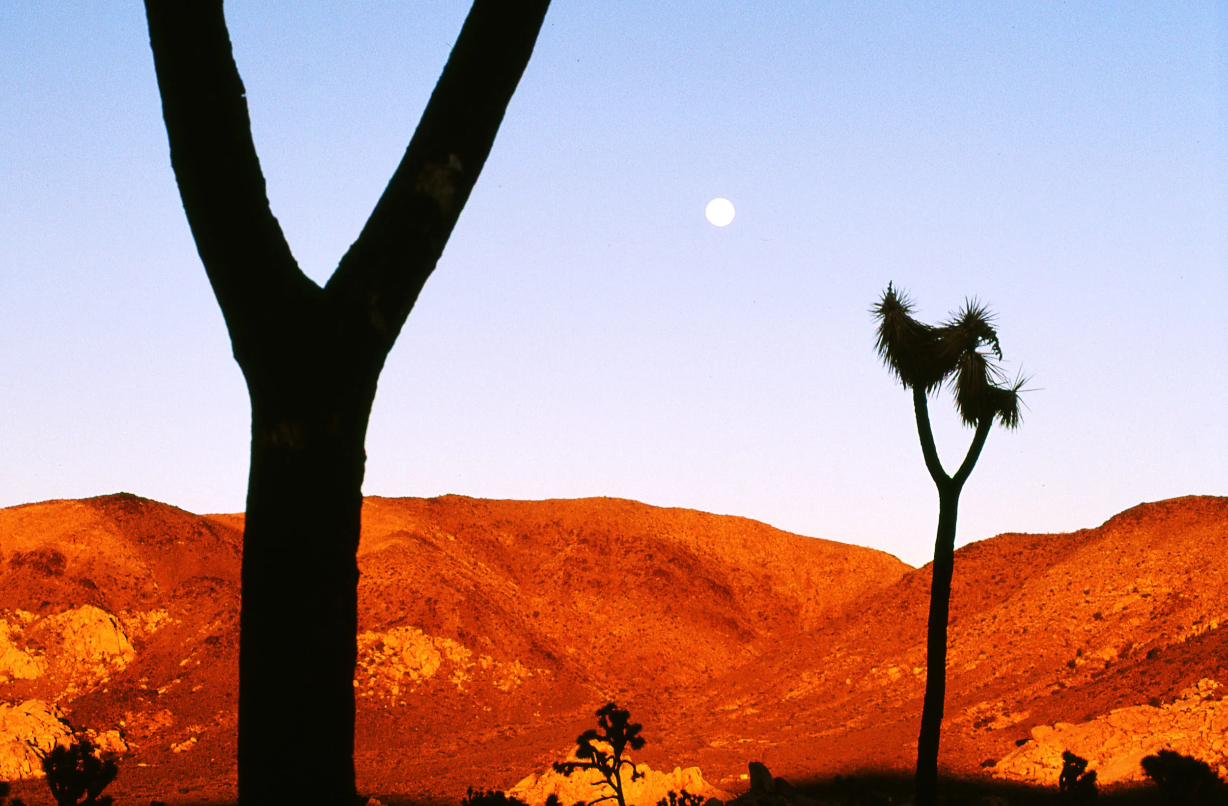 Whittle_Places019.jpg