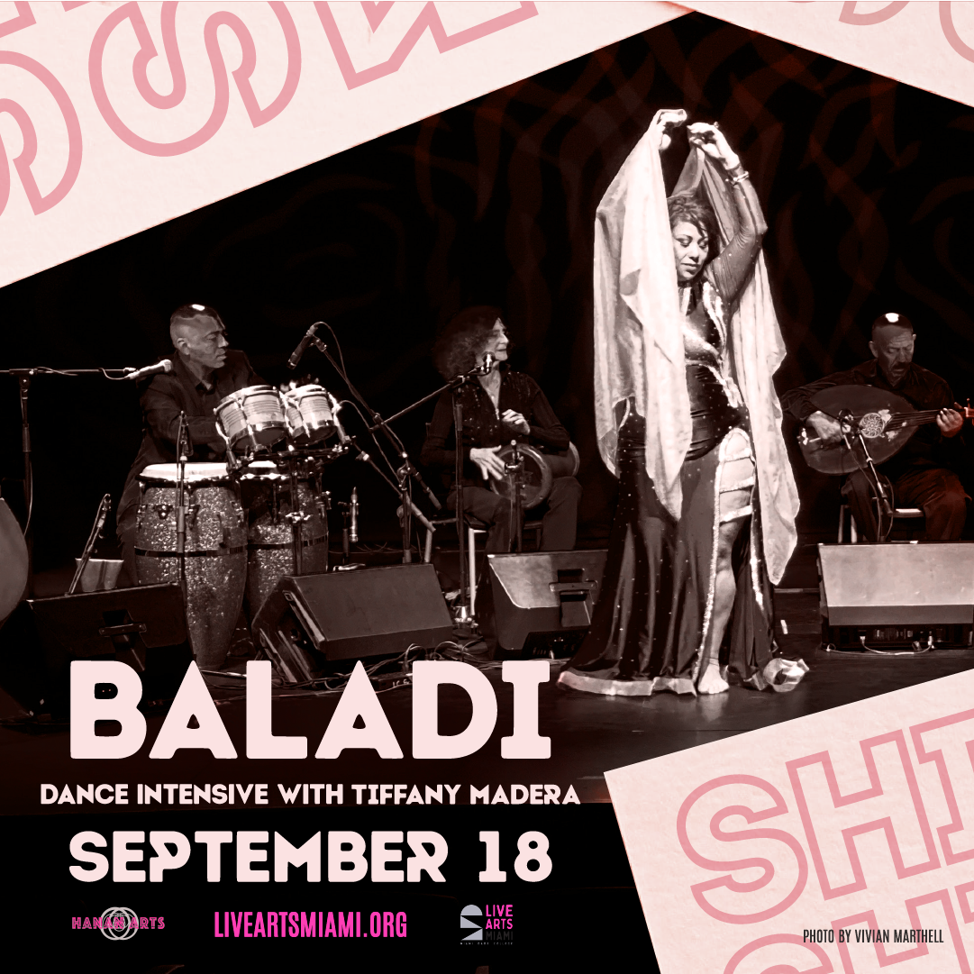 SSP Voices of the Global South: Baladi Workshop