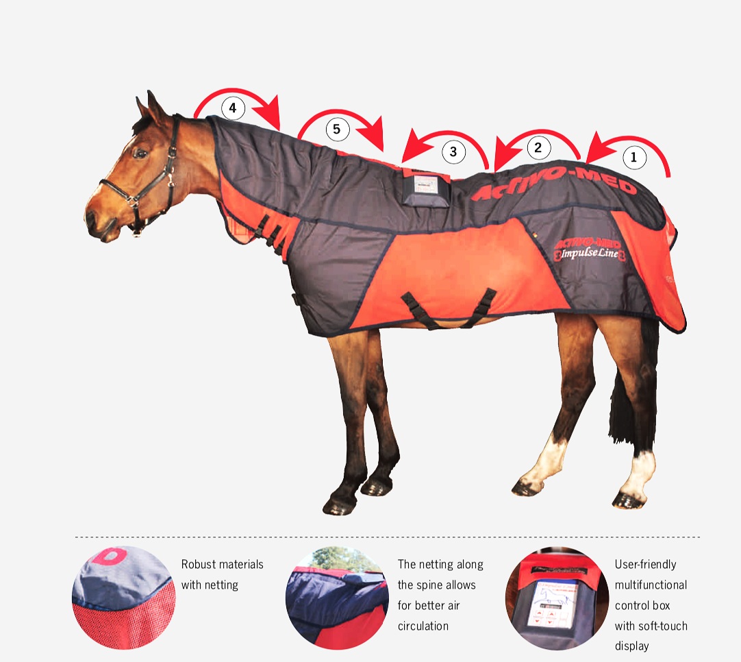 Combi PRO Blanket (Magnetic therapy/Massage) 磁疗/按摩马衣 — ARI Equestrian 艾骊马术