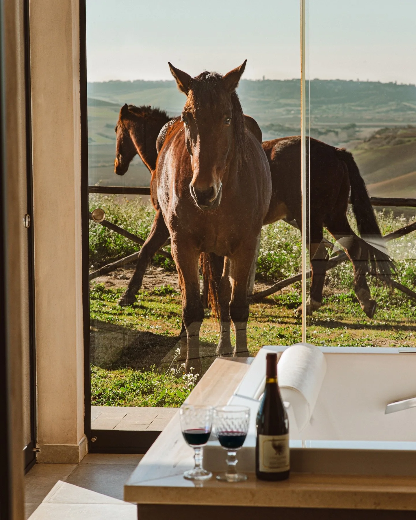 Agriturismo Re Tarquinio 4.jpg