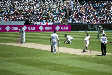 Test cricket.webp
