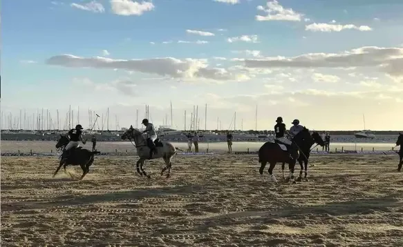 Beach Polo tickets.webp