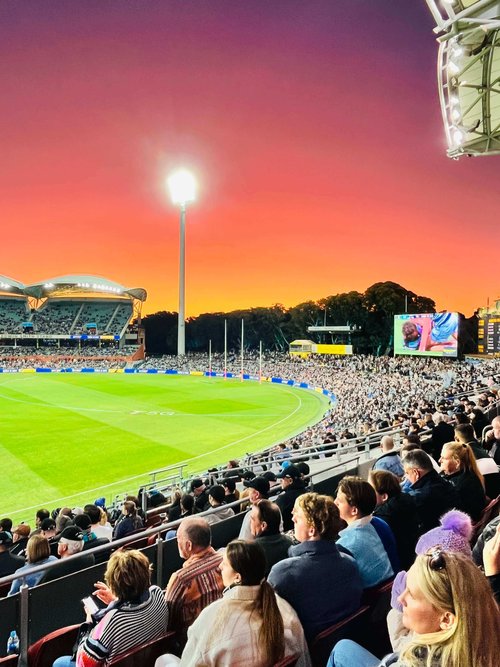 Port Adelaide v Hawthorn AFL Tickets Adelaide Oval Stadium Club Sunday 13 April 2025 The