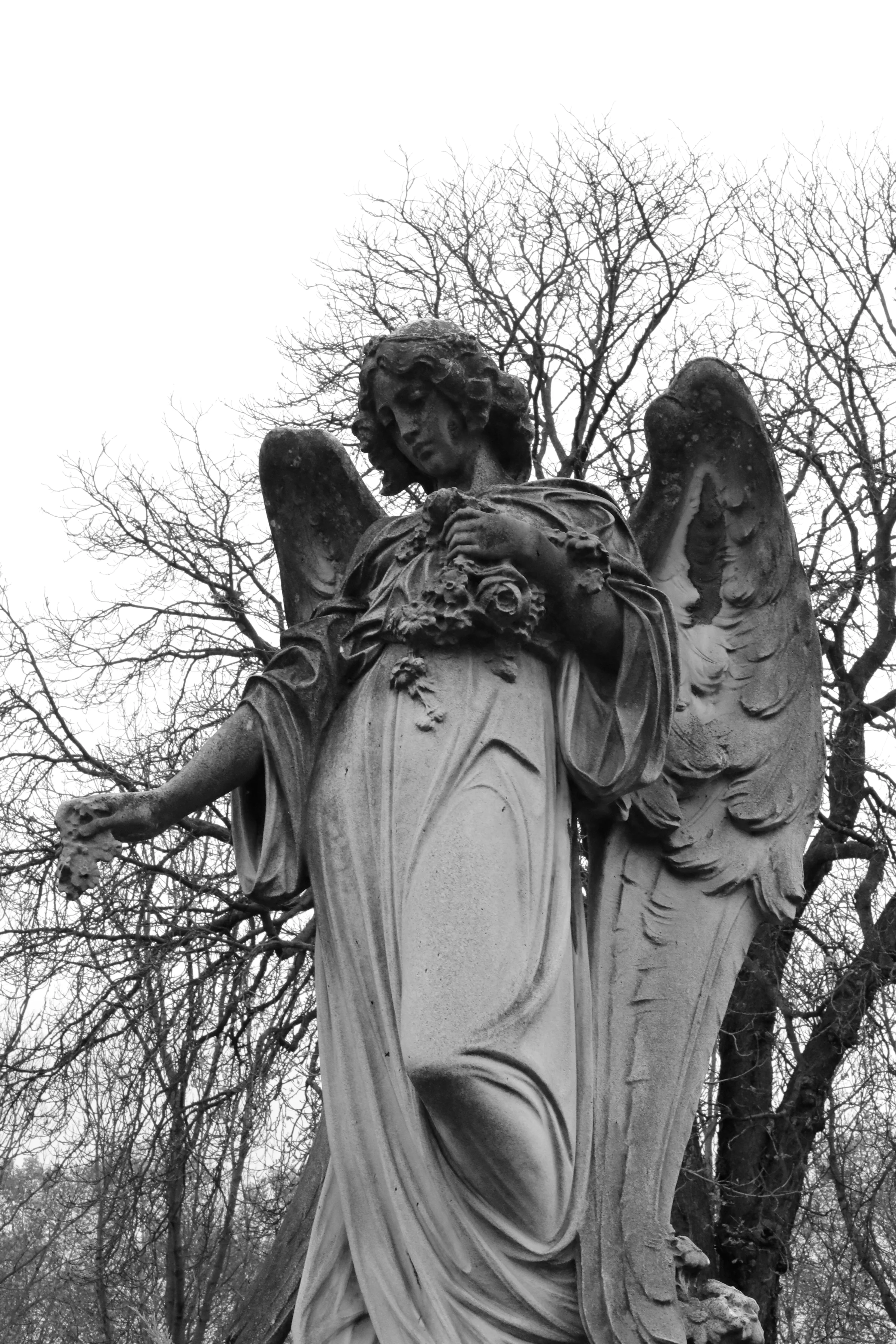 Angel statue on grave, Paris Francehttps://www.ebay.com/itm/263679741934?ssPageName=STRK:MESELX:IT&amp;_trksid=p3984.m1555.l2649
