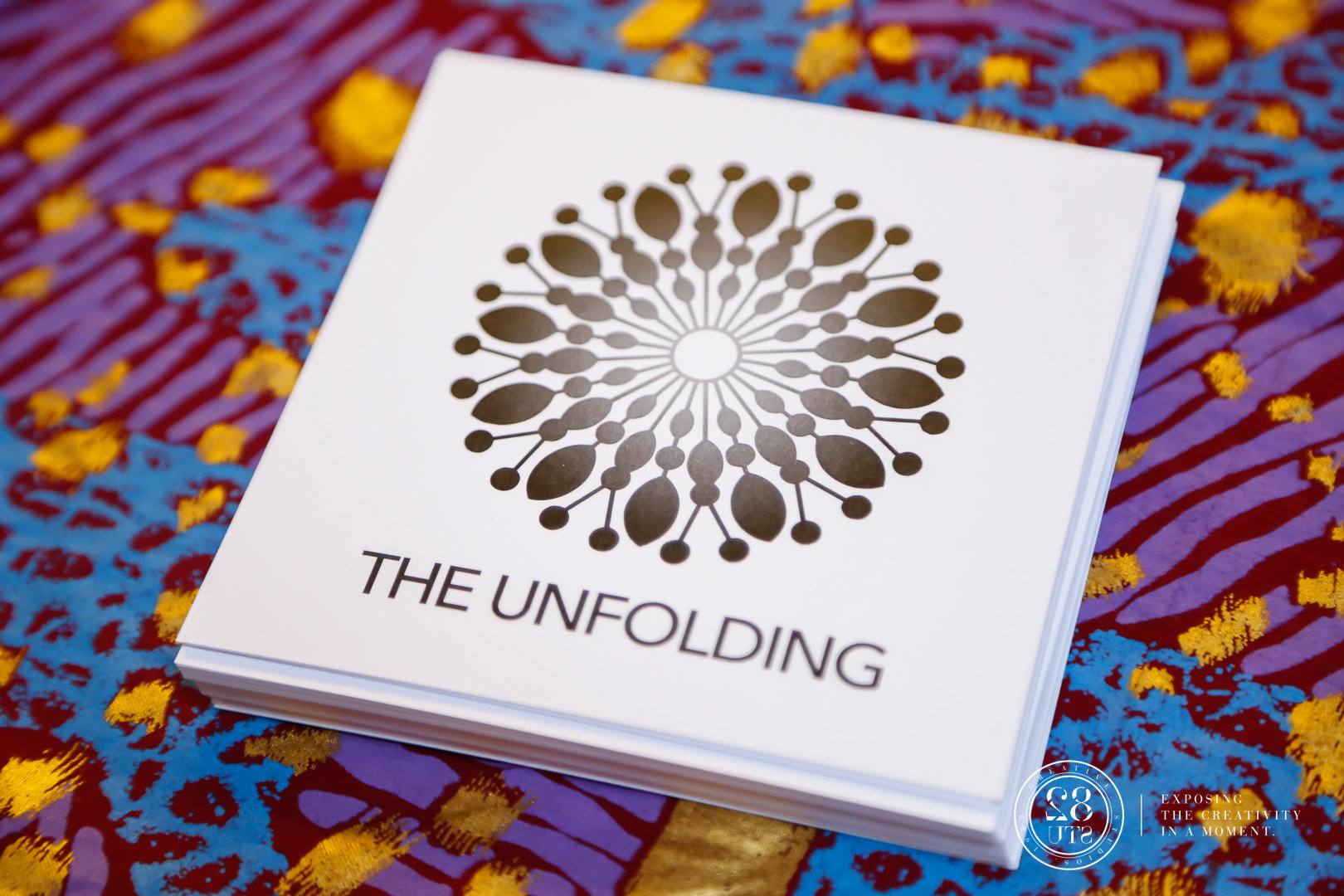 The Unfolding-The Unfolding-0039.jpg