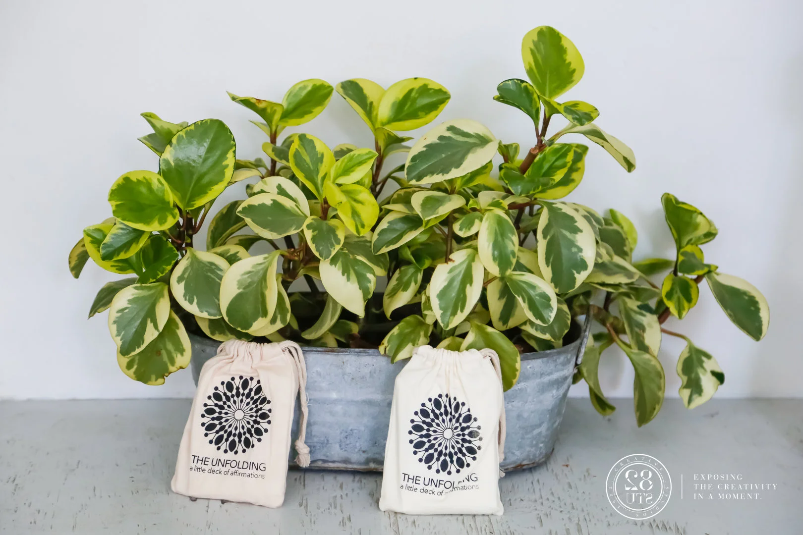 The Unfolding - a little card deck of affirmations