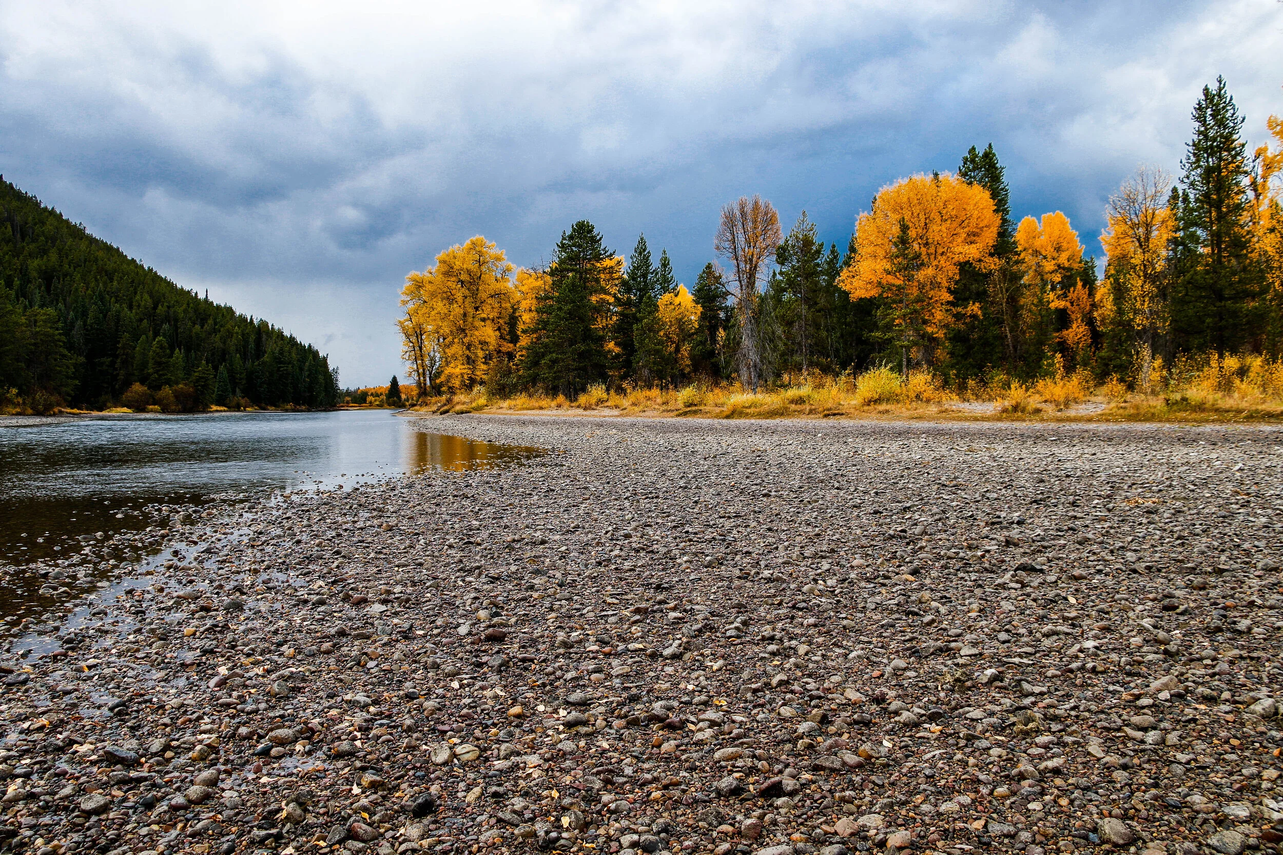_MG_1710.jpg