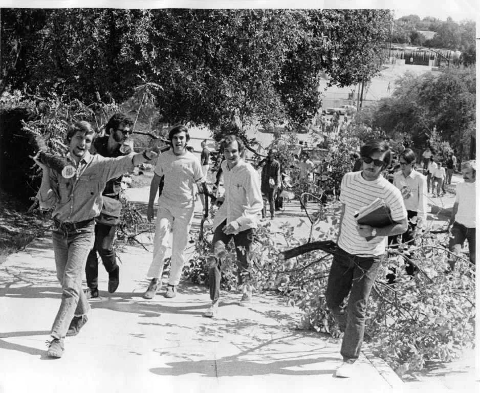 waller-creek-students-hauling-trees.jpg