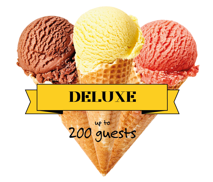 DELUXE PACKAGE