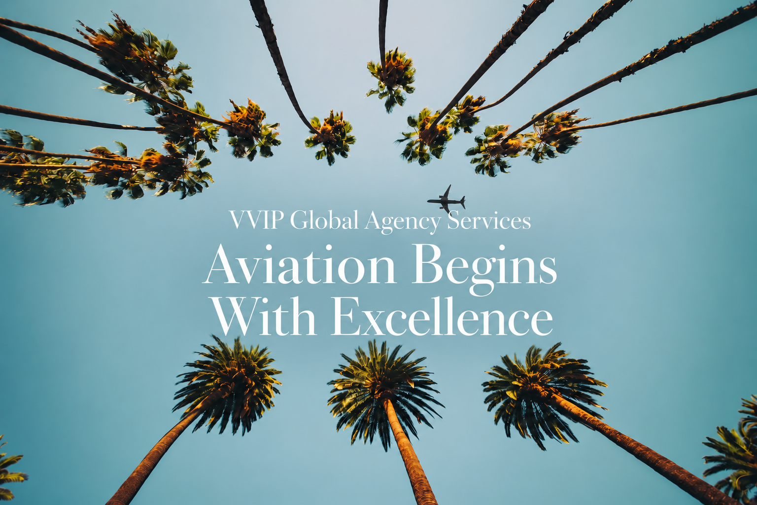 Aviation Begins With Excellence.png