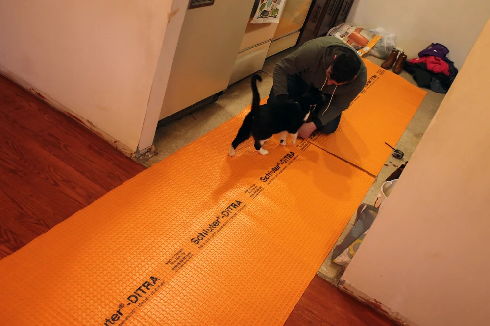 moo moo the construction cat, helping.