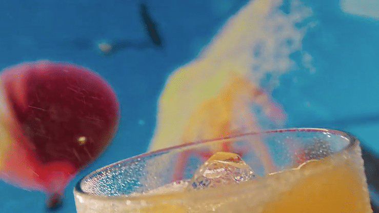 undefined-high (12).gif