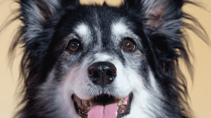 undefined-high (27).gif