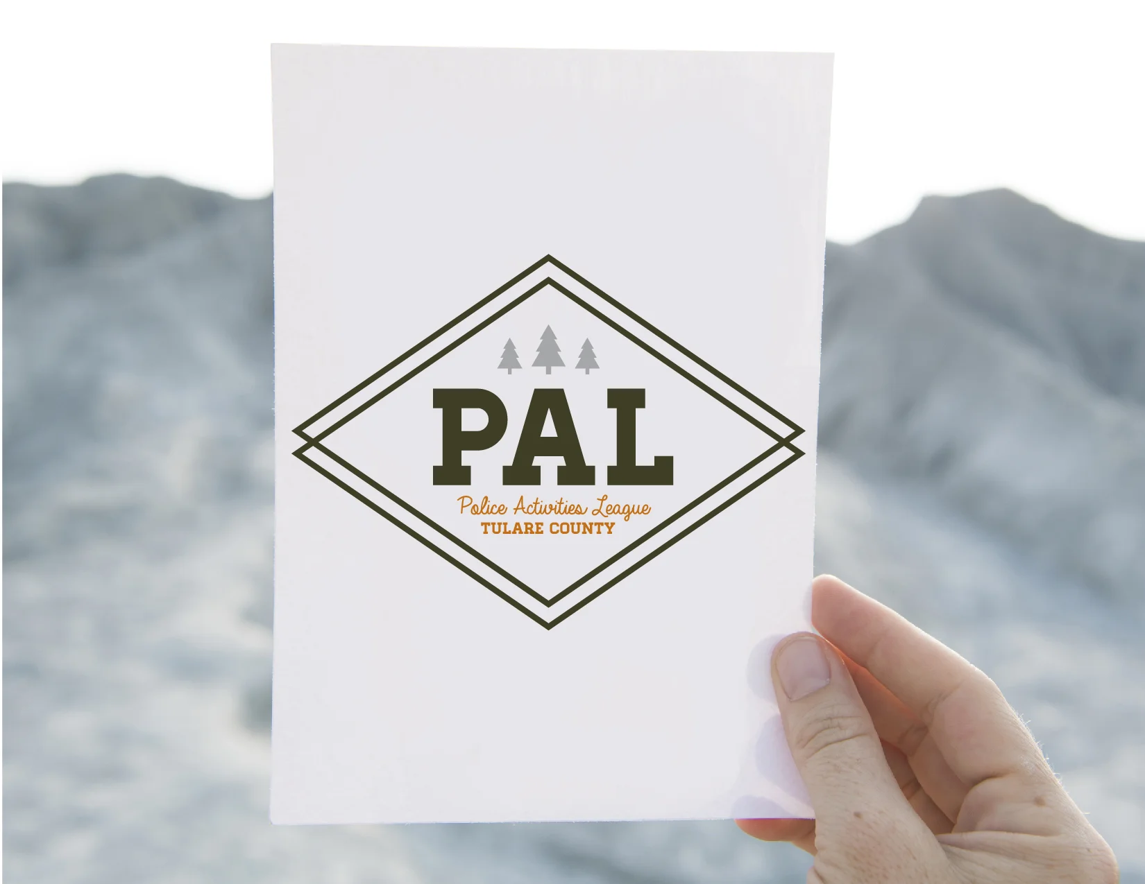 PAL-logo-01.jpg