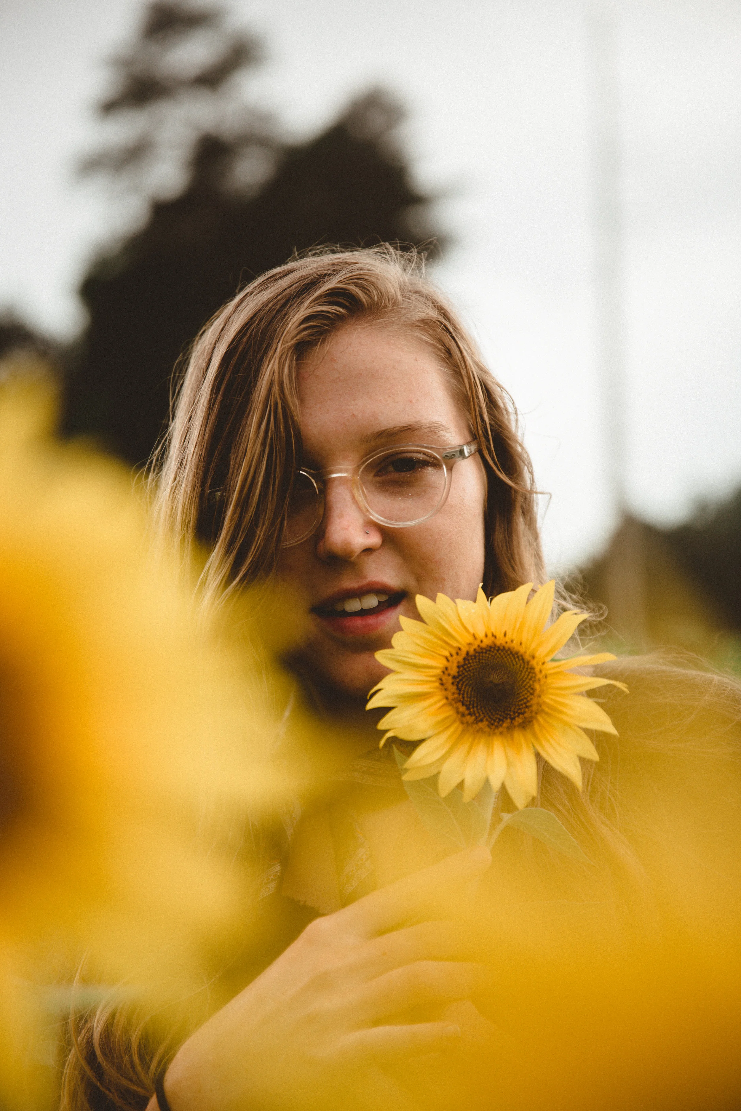 17_07_17_sunflowers-0085.jpg