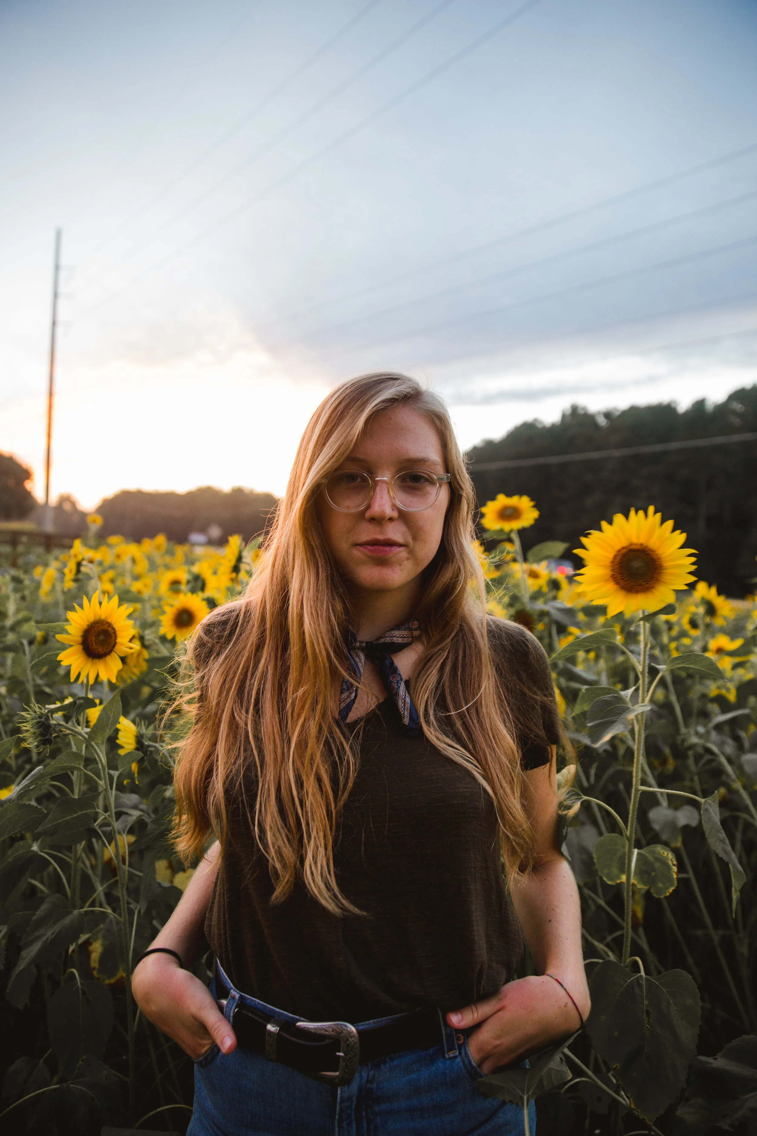 17_07_17_sunflowers-0324.jpg