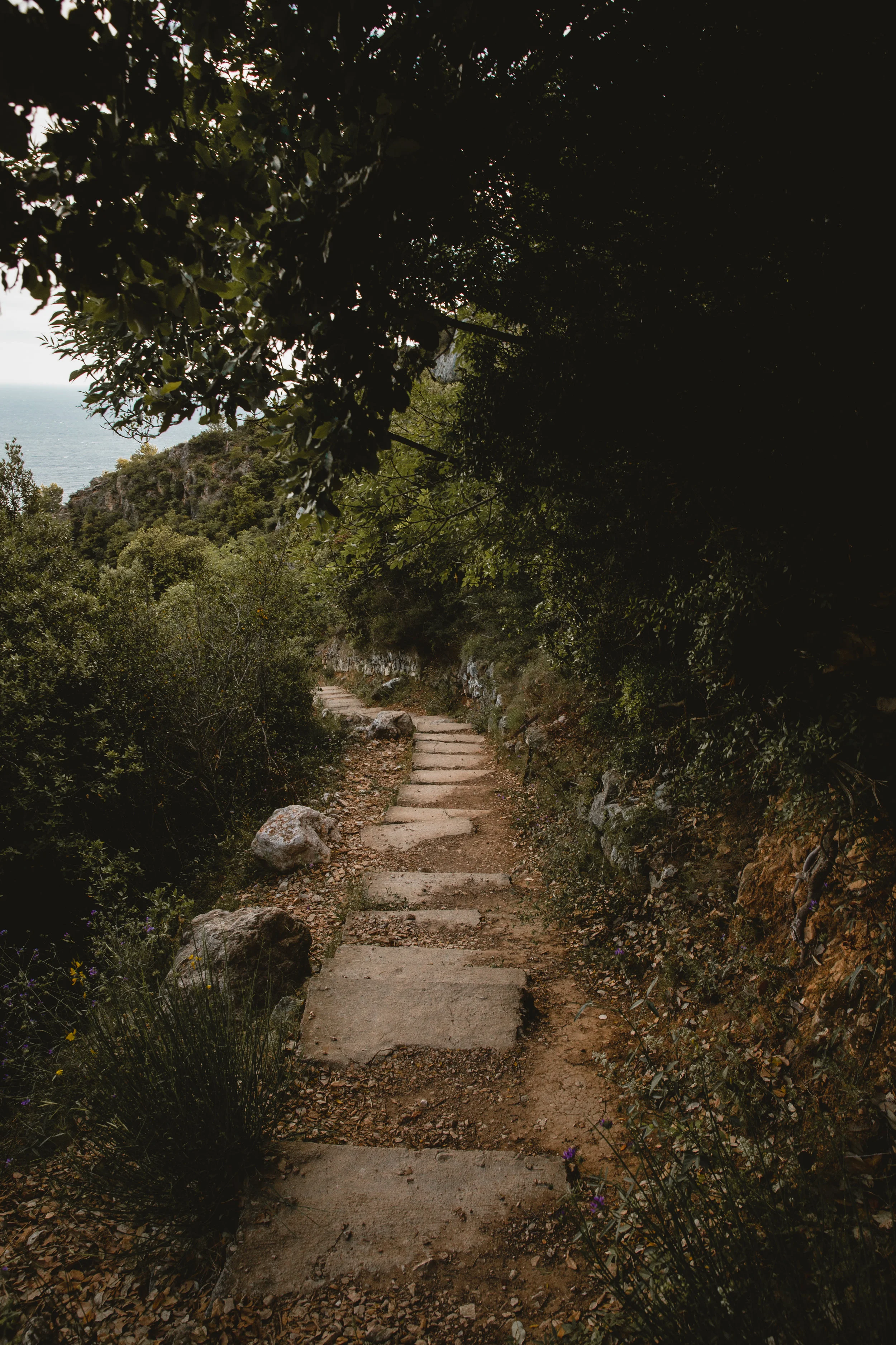 eze-8031.jpg